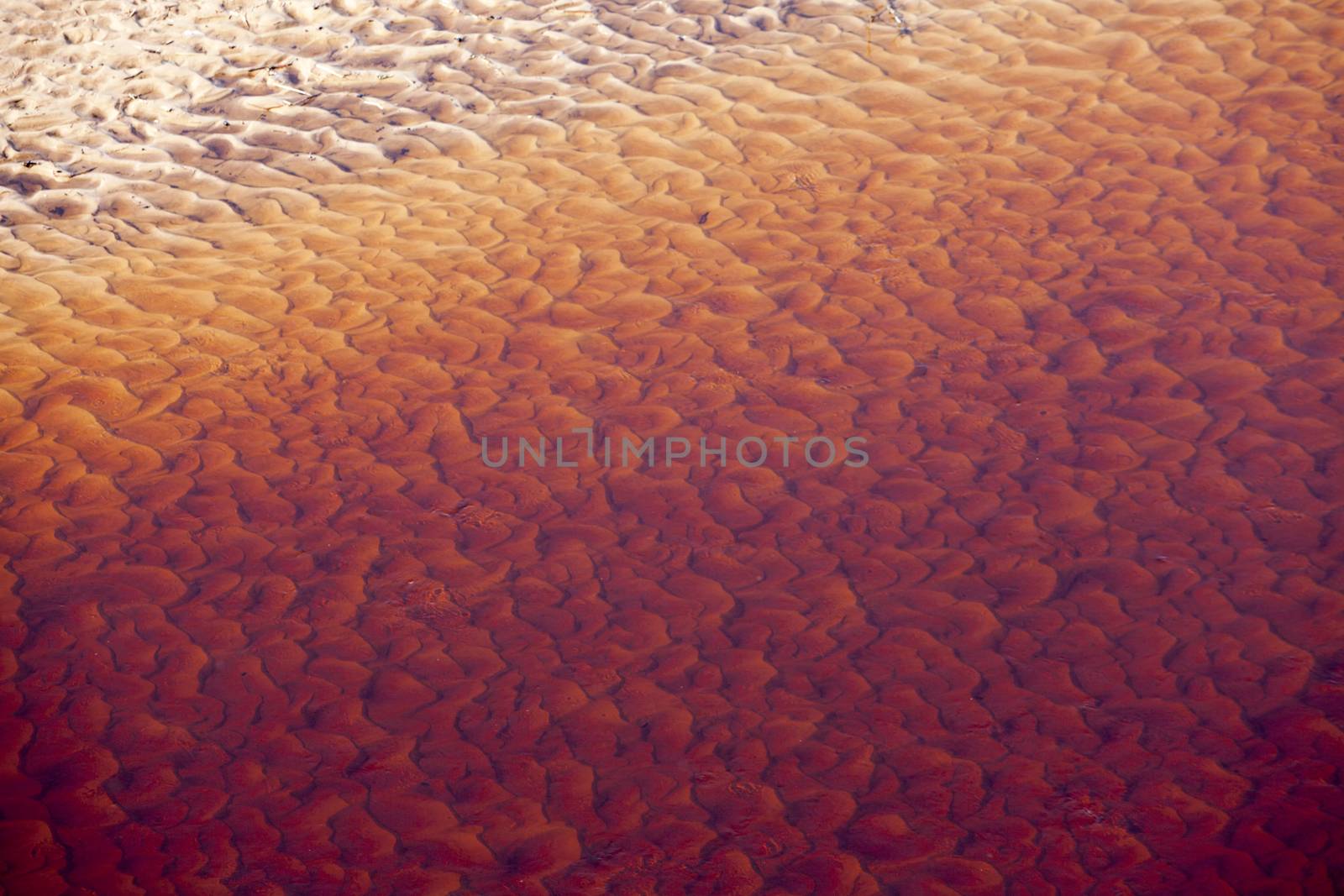Wavy sand texture patterns on the bottom of the river in red