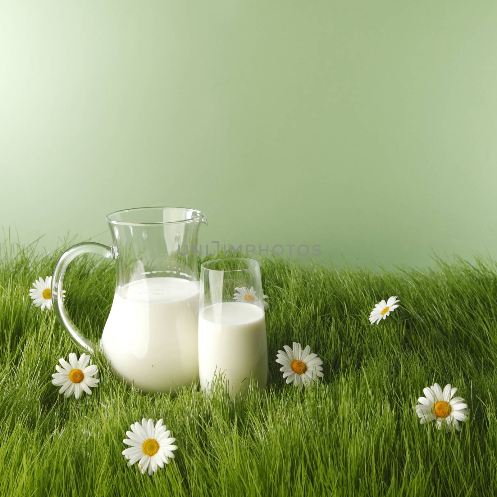 Milk in jar and glass on flower meadow by Yellowj