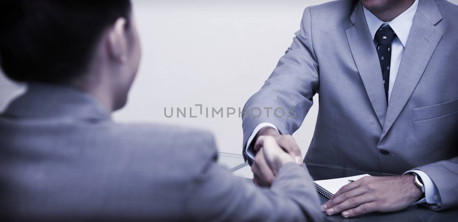 Young business partners sitting at a table shaking hands
