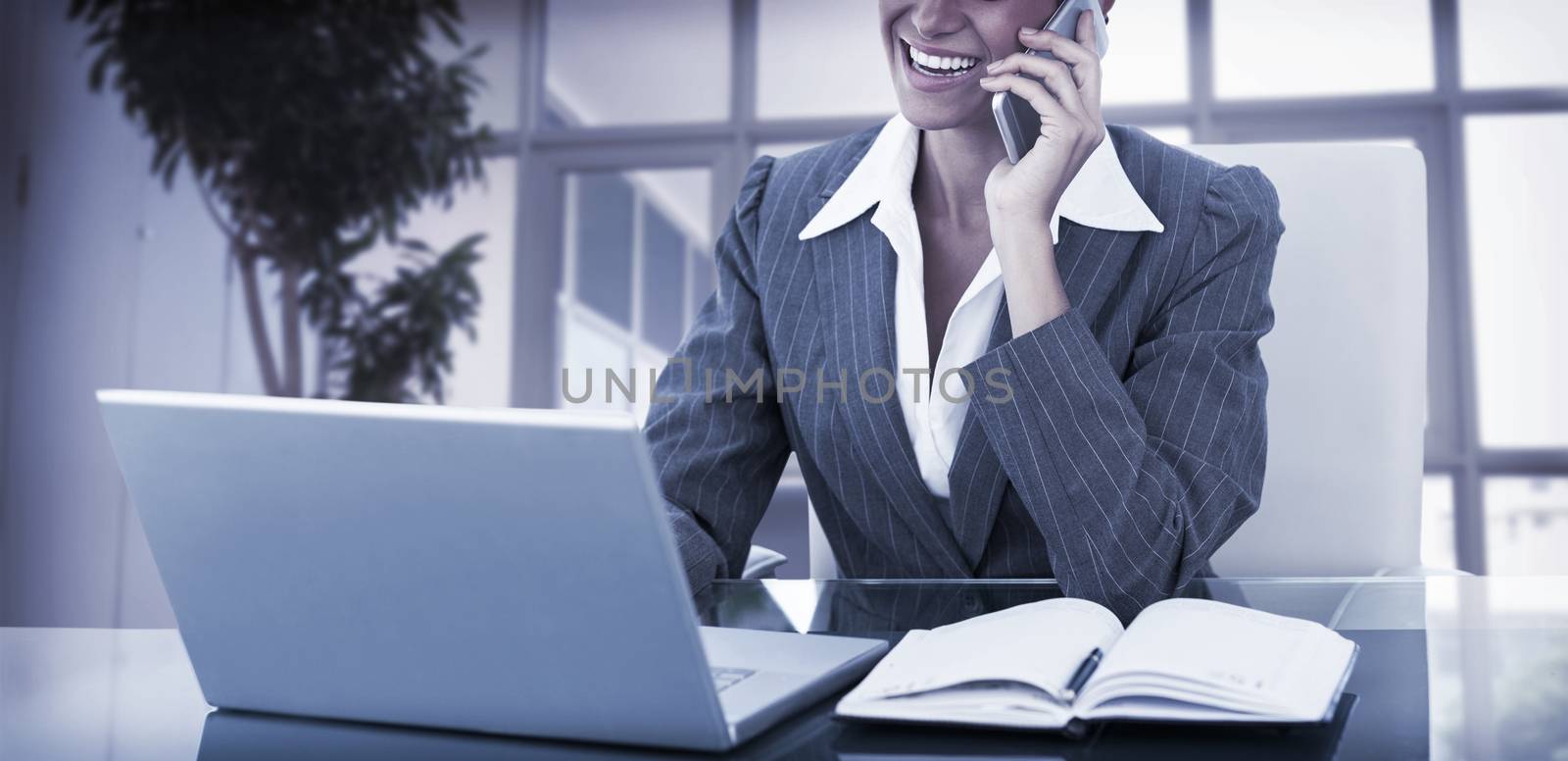 Businesswoman on call and using her laptop by Wavebreakmedia