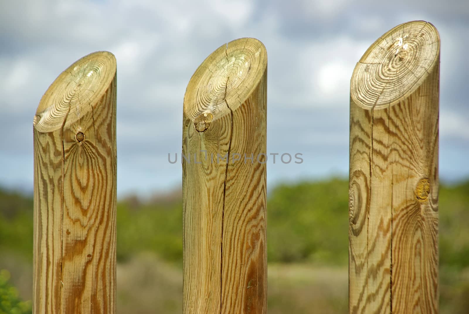 Three poles made of wood