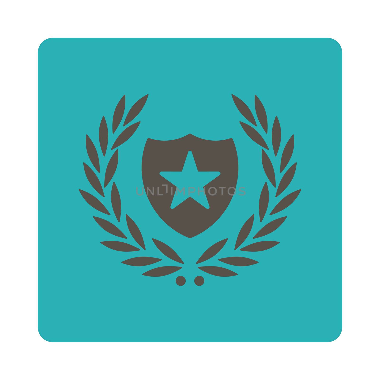 Shield icon from Award Buttons OverColor Set. Icon style is grey and cyan colors, flat rounded square button, white background.