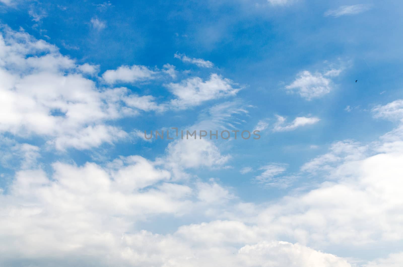Blank sky surface with small clouds by DNKSTUDIO