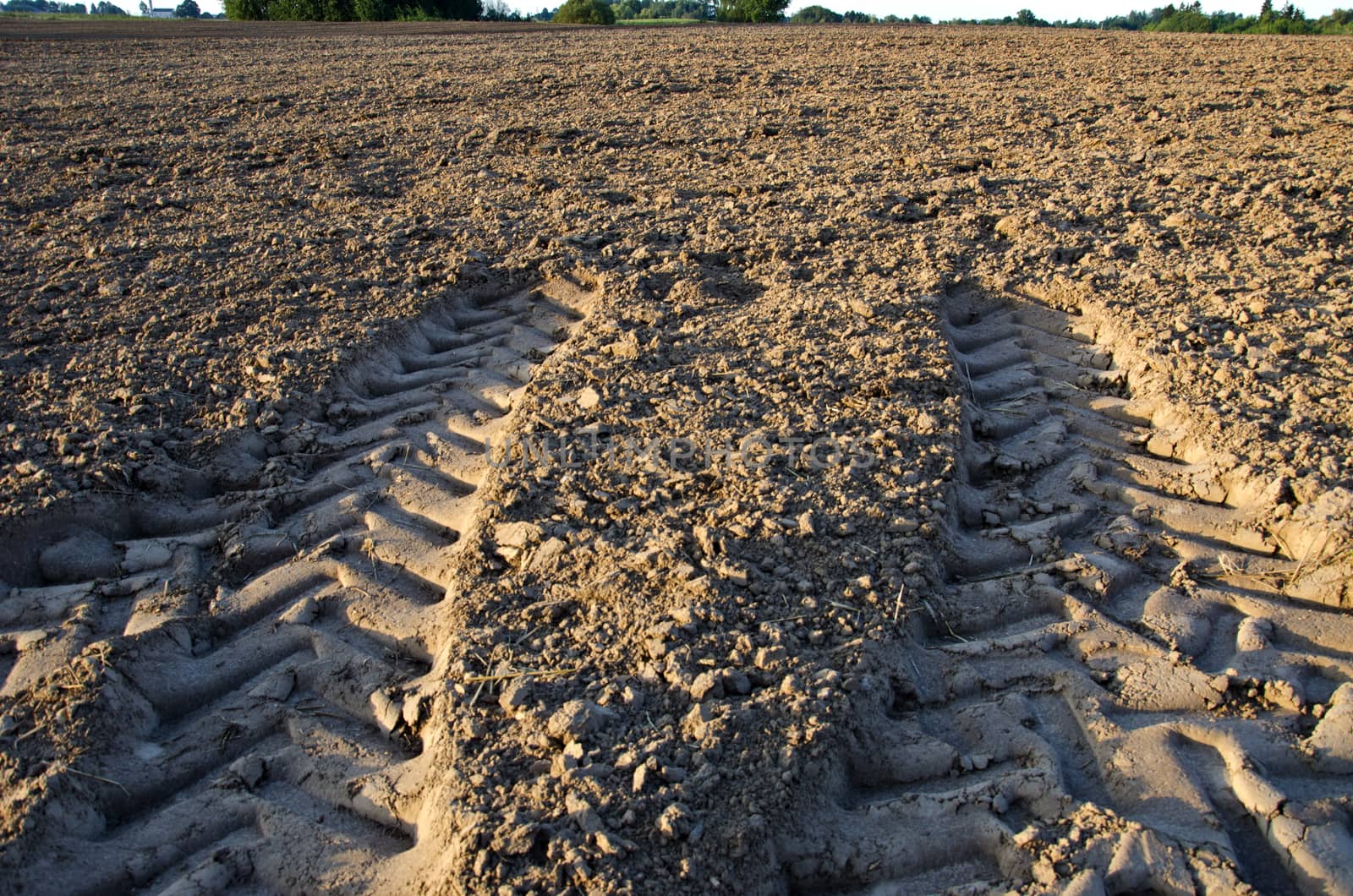 agriculture tractor wheels traces on farm field soil