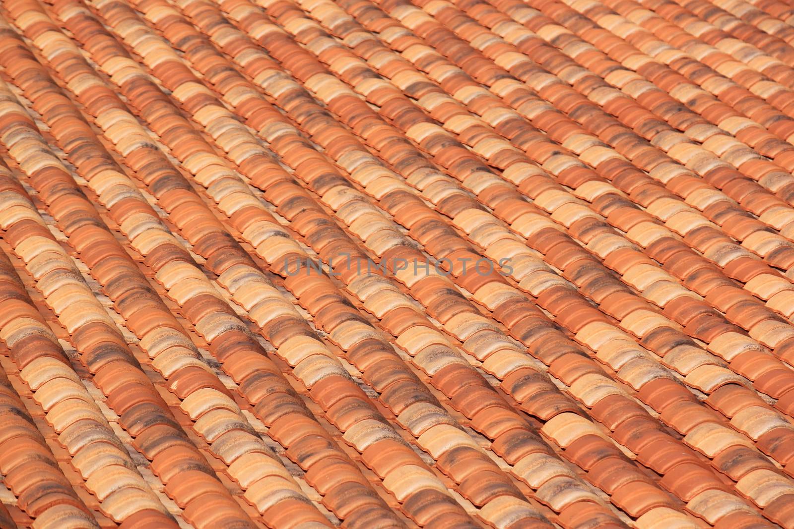 roof of a house covered with tiles Basque
