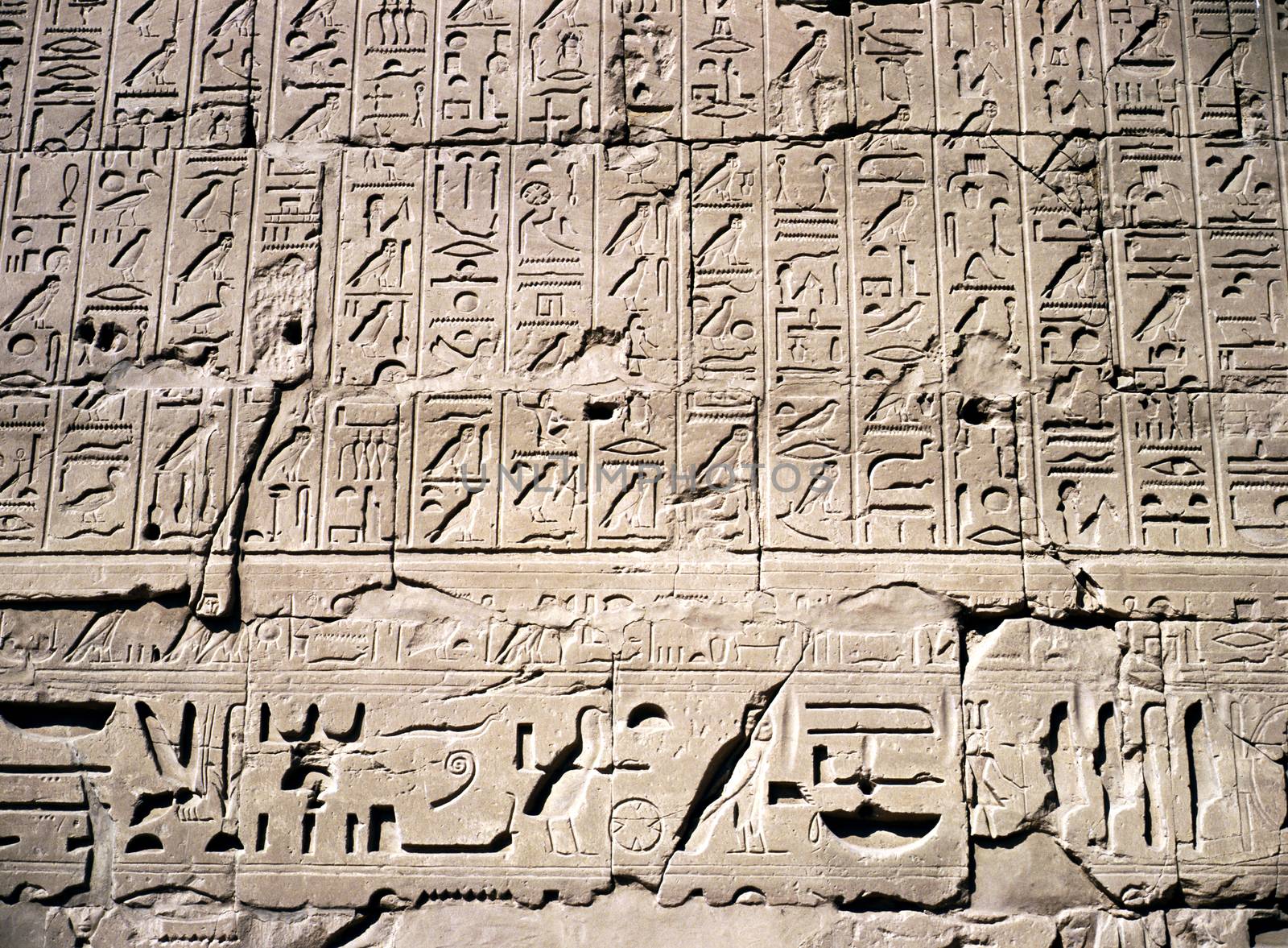 Relief in Luxor Temple
