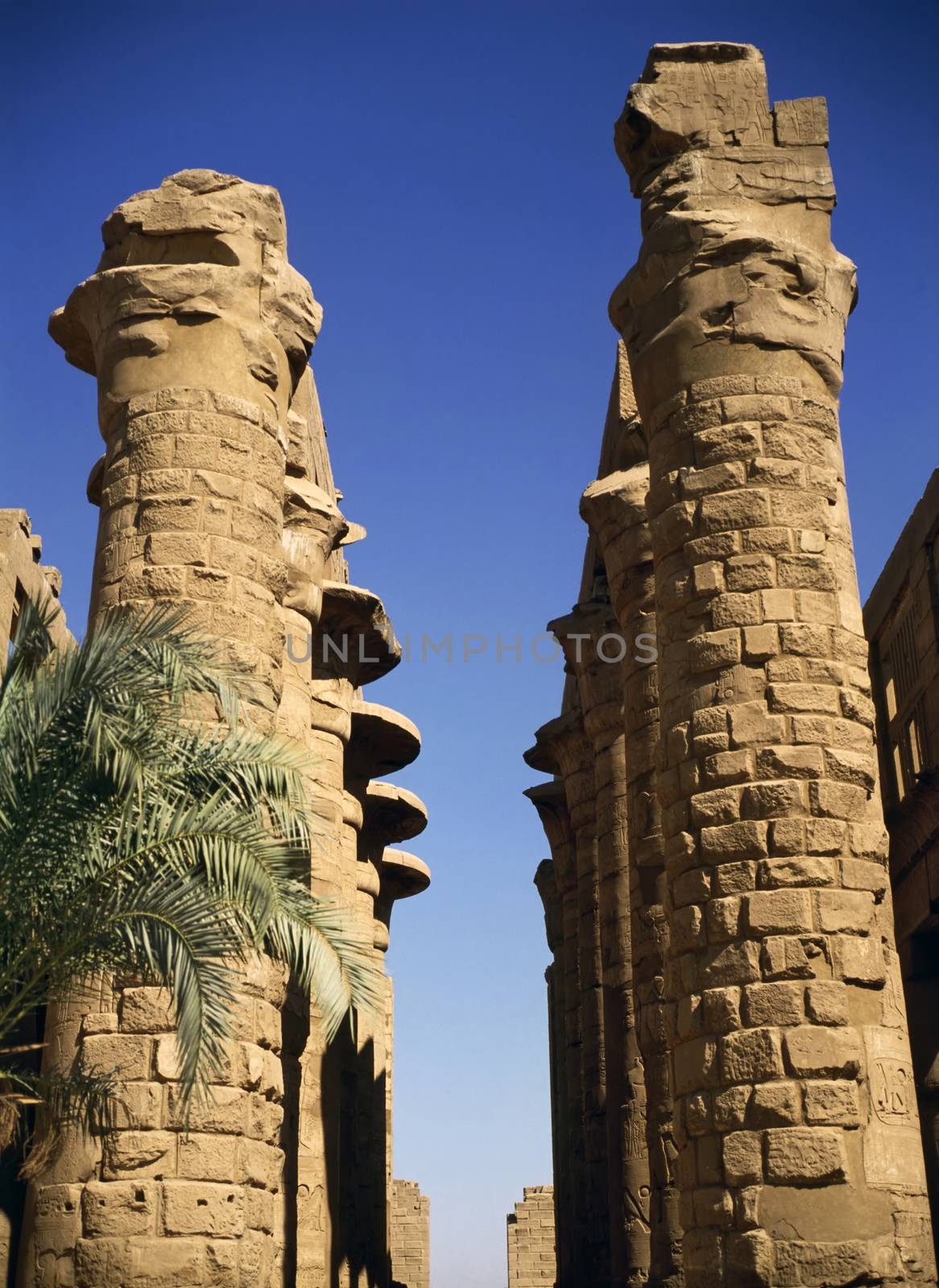 Columns in Temple of Luxor, Egypt