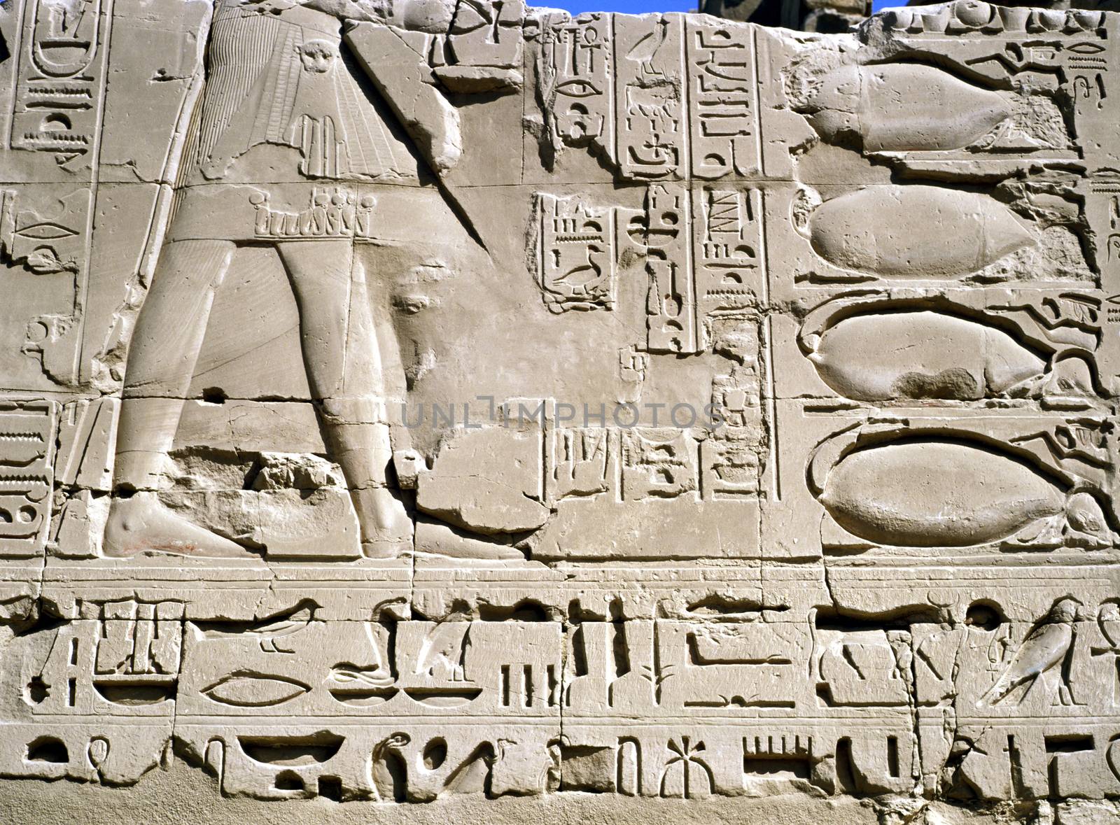 Relief , Luxor by jol66