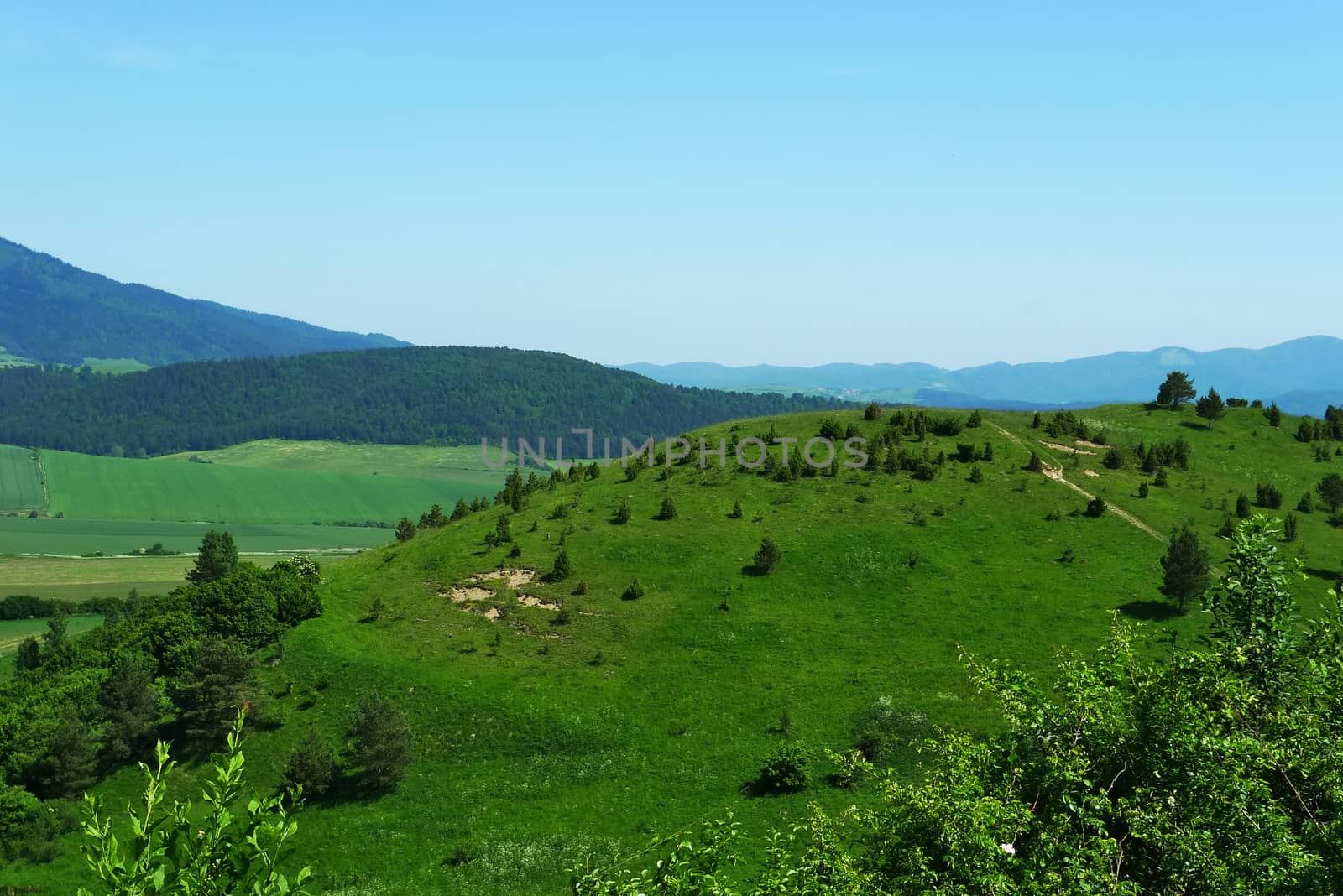 Summer scenery in Slovakia