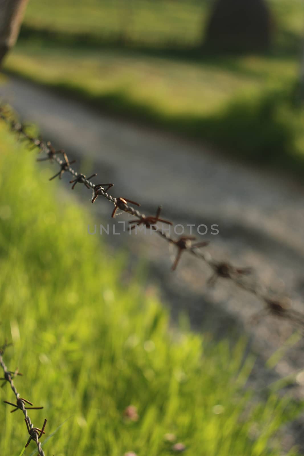 Section of barbed wire fence, Est Europe, Romania. by eicvl5