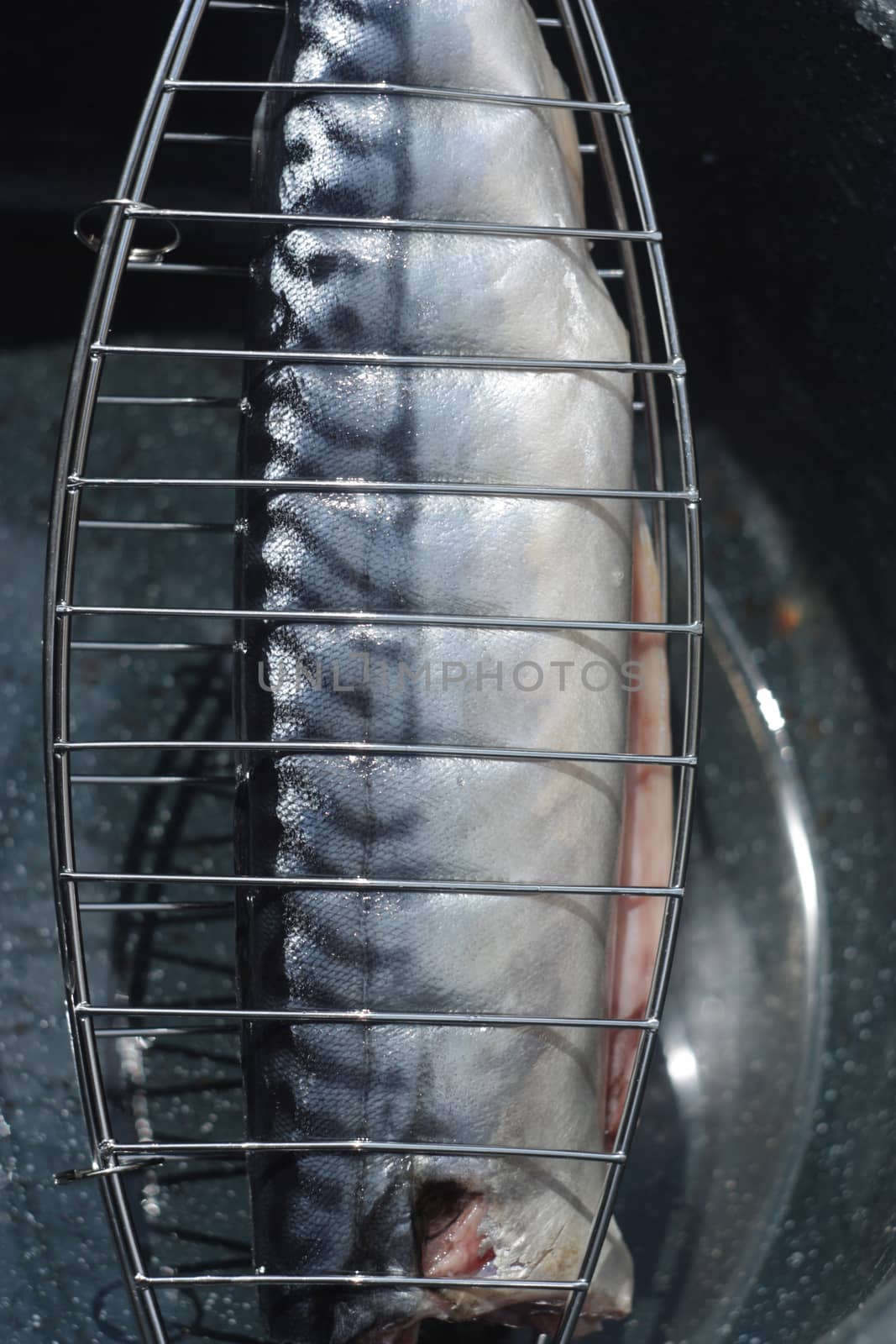 Barbecuing mackerel on charcoal fire closeup image. by eicvl5