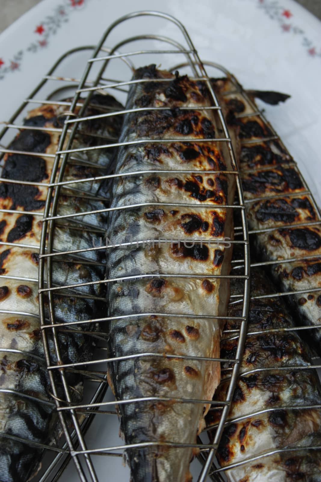 Barbecuing mackerel on charcoal fire closeup image. by eicvl5