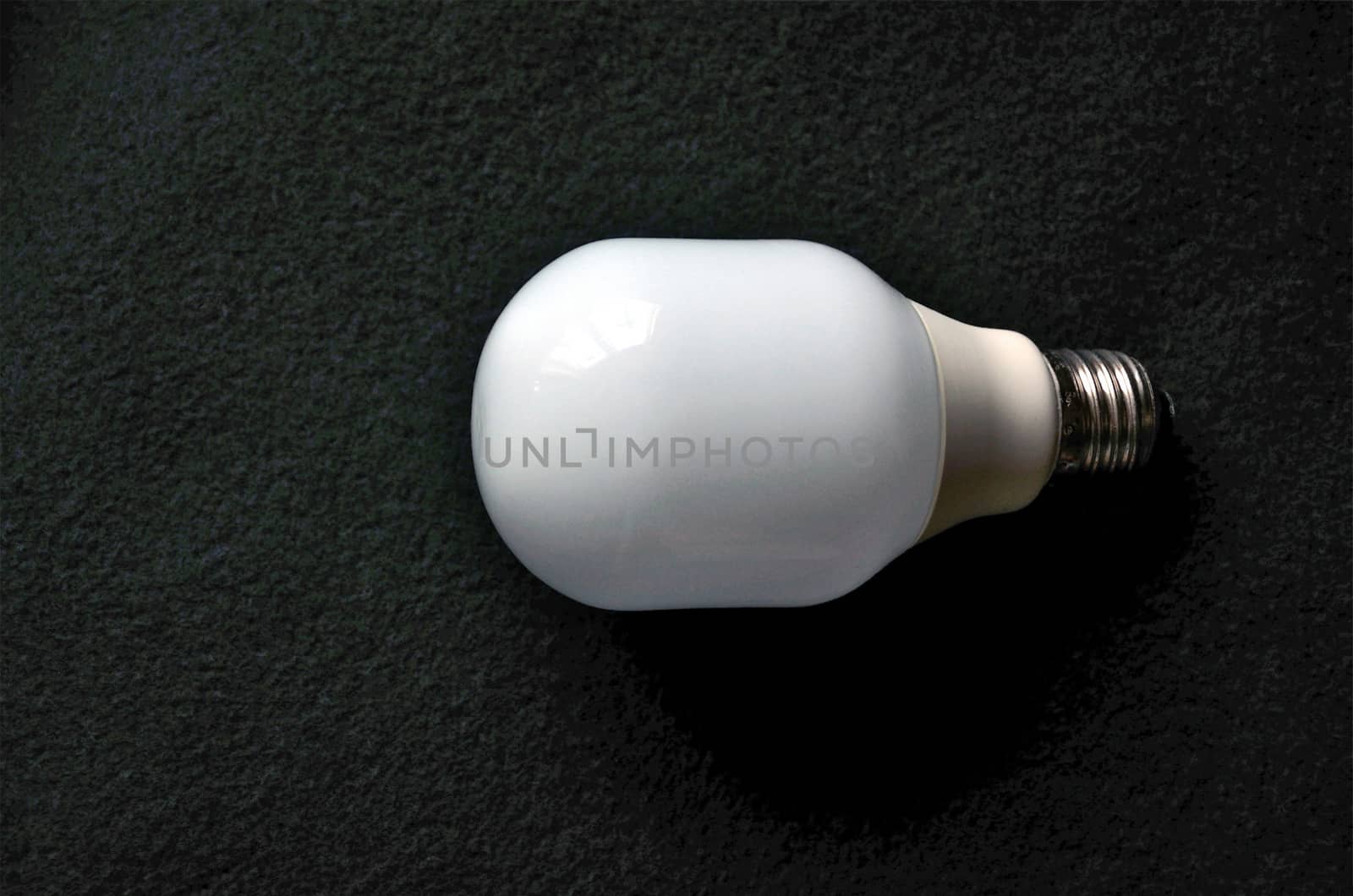 Light Bulb by jol66