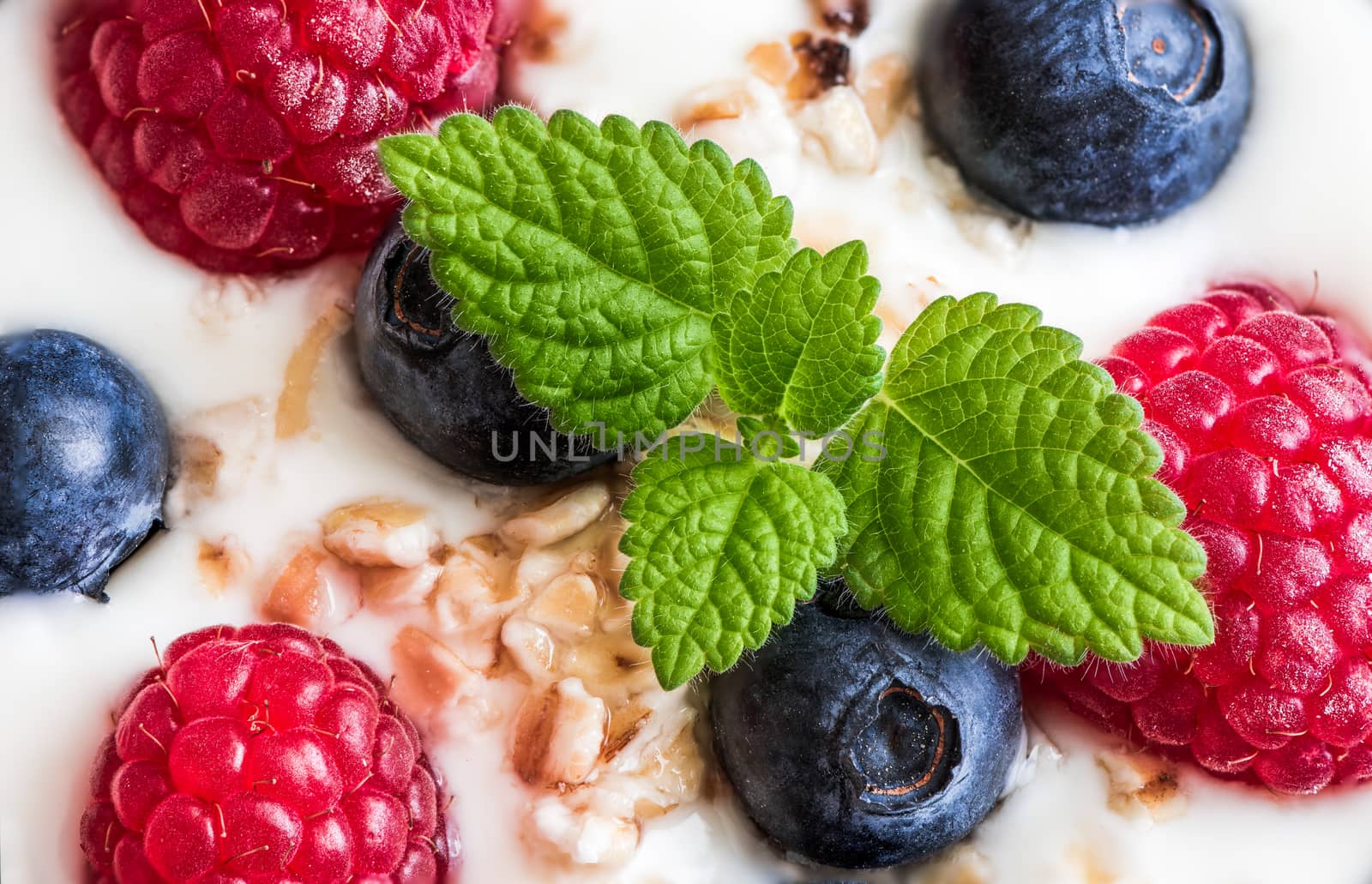 Yogurt with Whole Fresh Blueberries, Raspberries, Oatmeal and Melissa. Macro Detail Closeup.