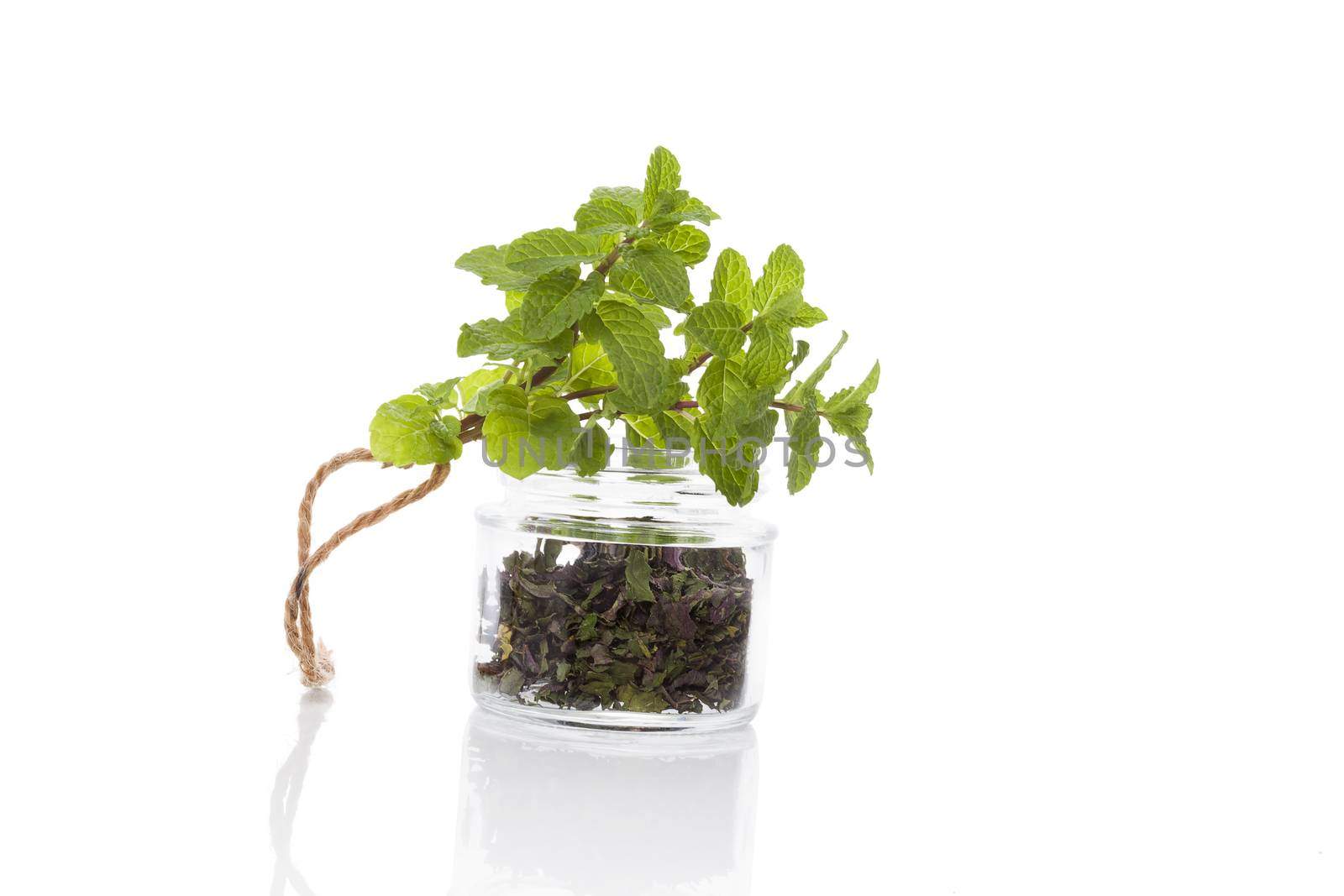 Fresh mitn and dry mint spice in glass jar isolated on white background. Culinary healthy aromatic herbs. Culinary arts.