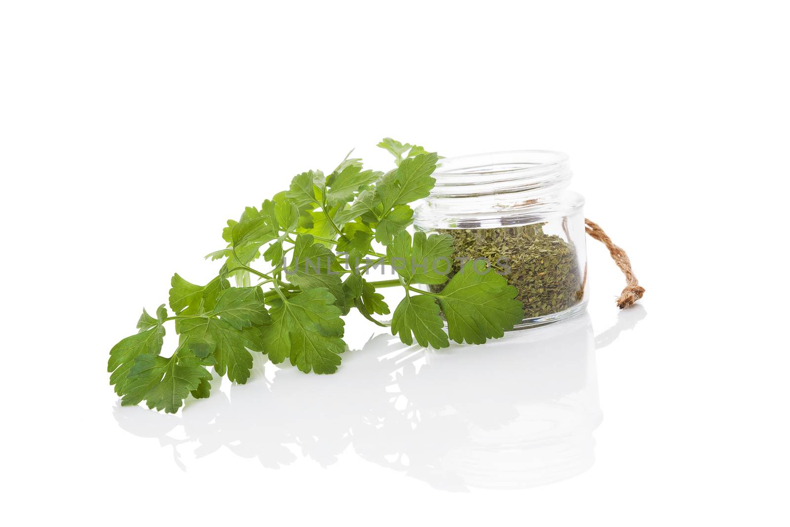 Fresh parsley leaves and dry parsley spice in glass jar isolated on white background. Culinary healthy aromatic herbs. Culinary arts, fines herbes.