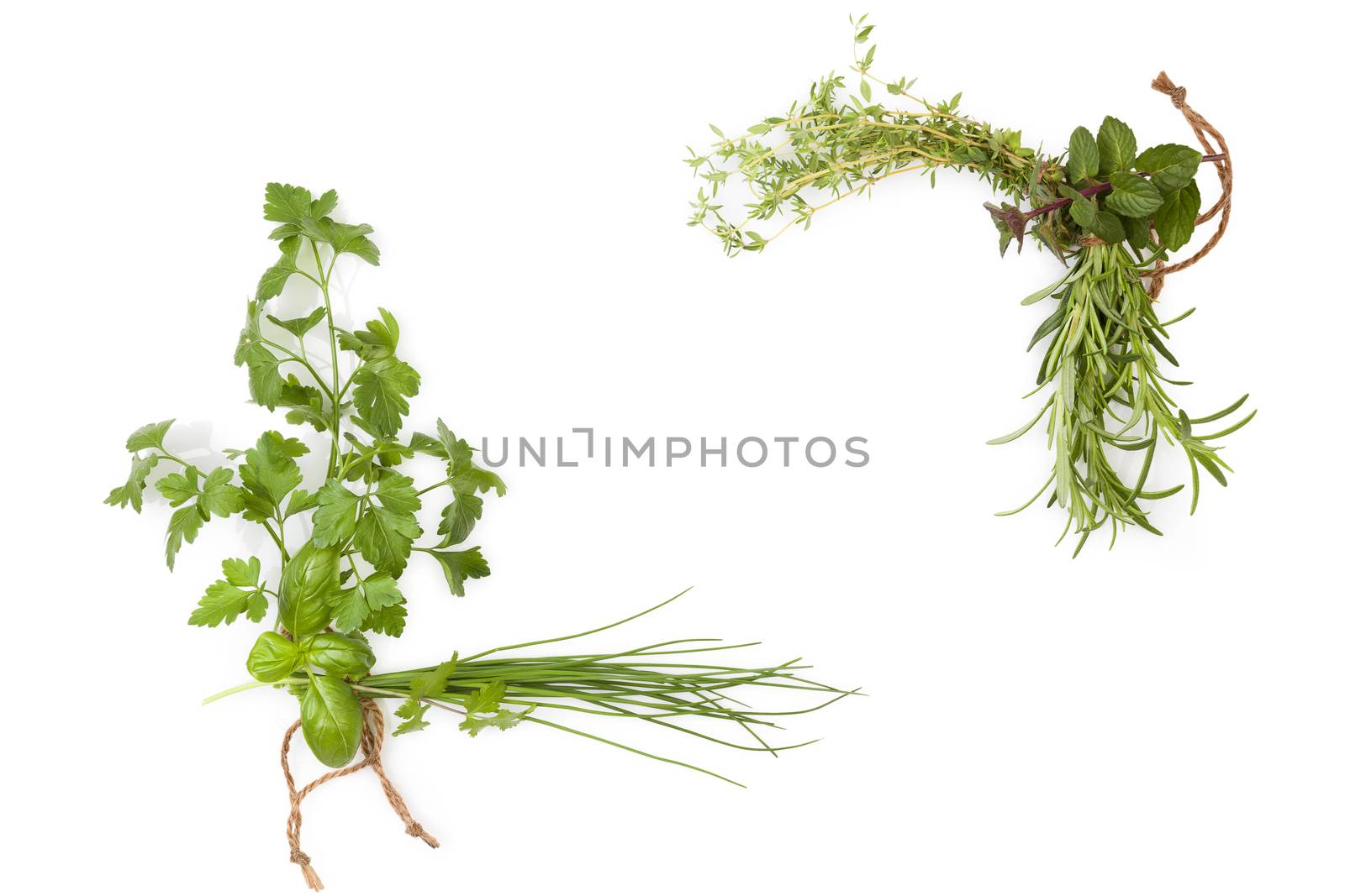 Culinary herbs background with copy space. Fresh basil, cilantro, chive, parsley and mint herbs isolated on white background, top view. Modern, minimal image style.