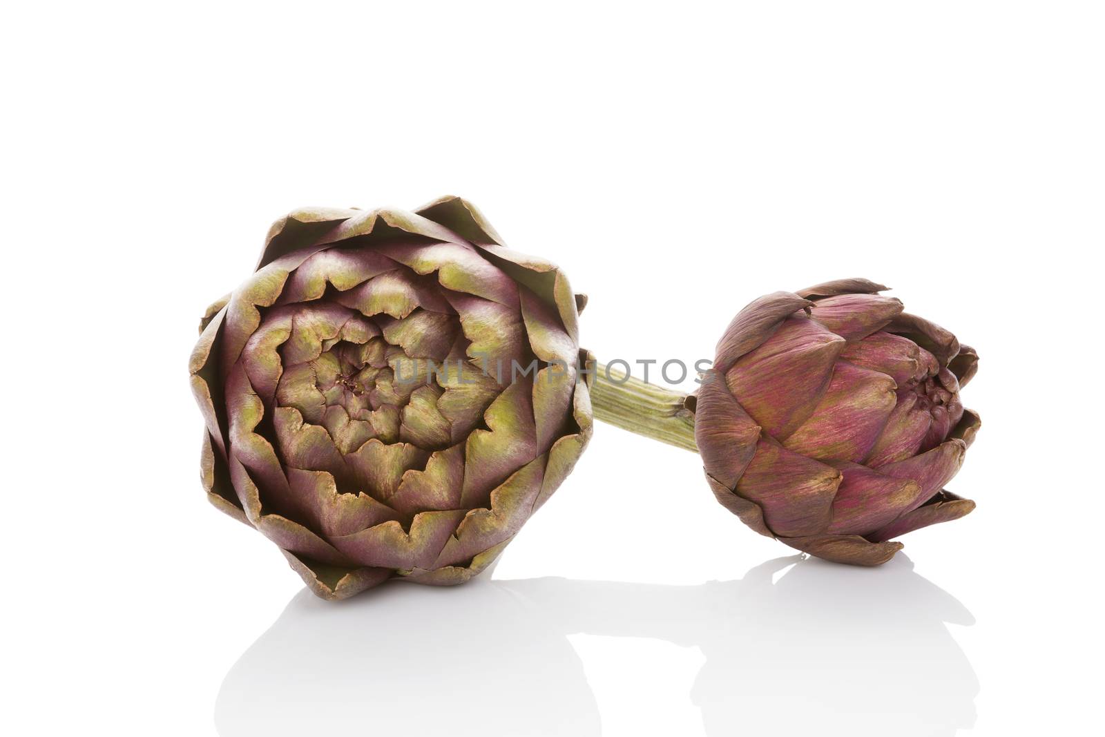 Artichoke isolated on white background. by eskymaks