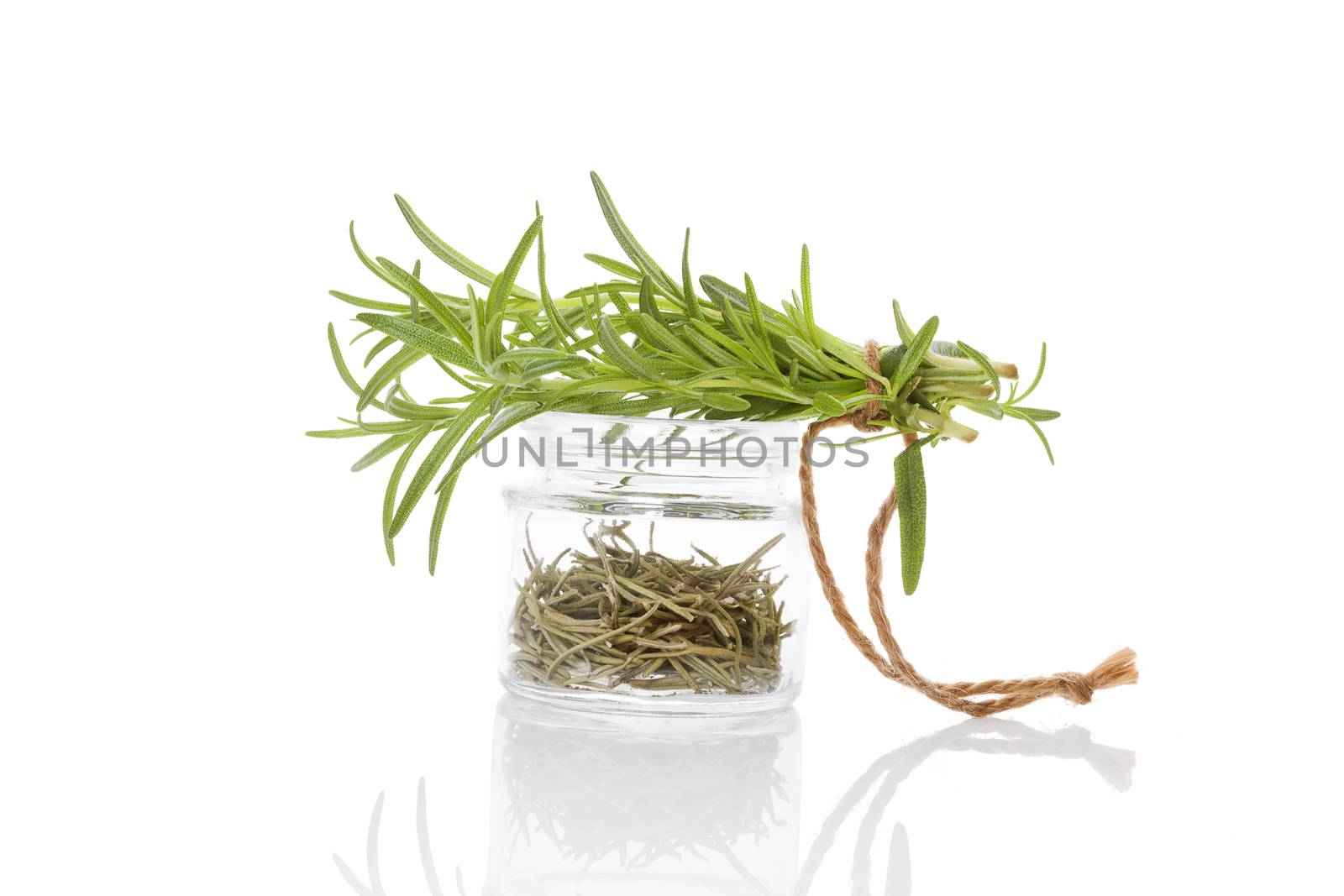 Fresh rosemary herbs and dry rosemary spice in glass jar isolated on white background. Culinary healthy aromatic herbs. Culinary arts.