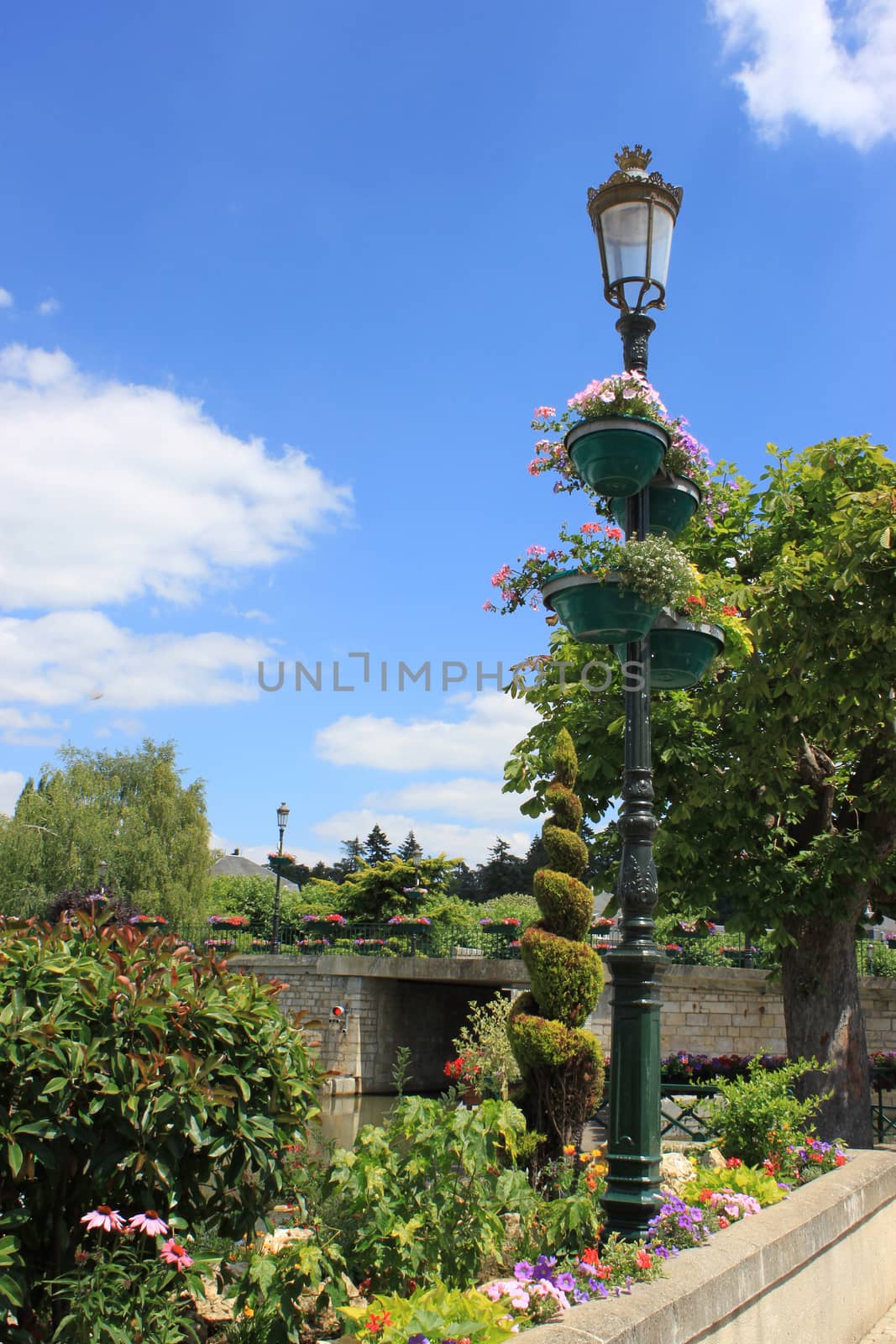 lamppost covered with flowers in a park on a background of blue sky with clouds