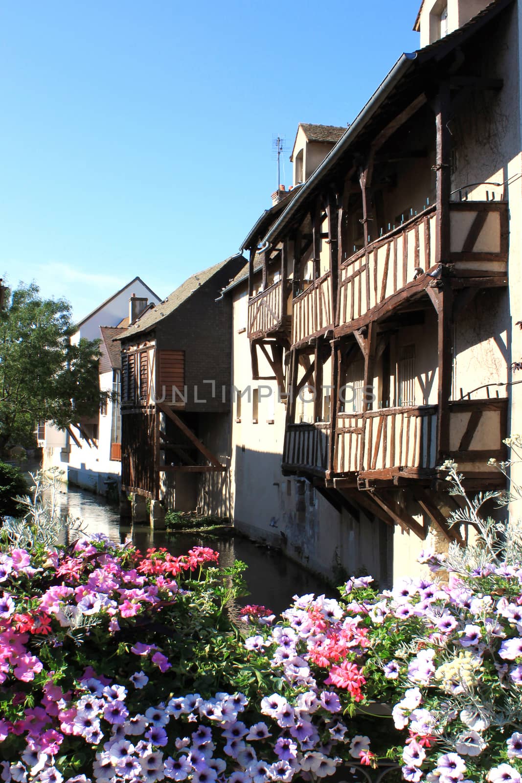 bridge in flowers by 26amandine