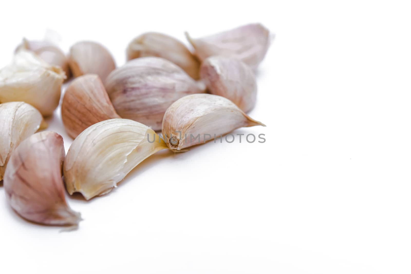 Garlic isolated on white background