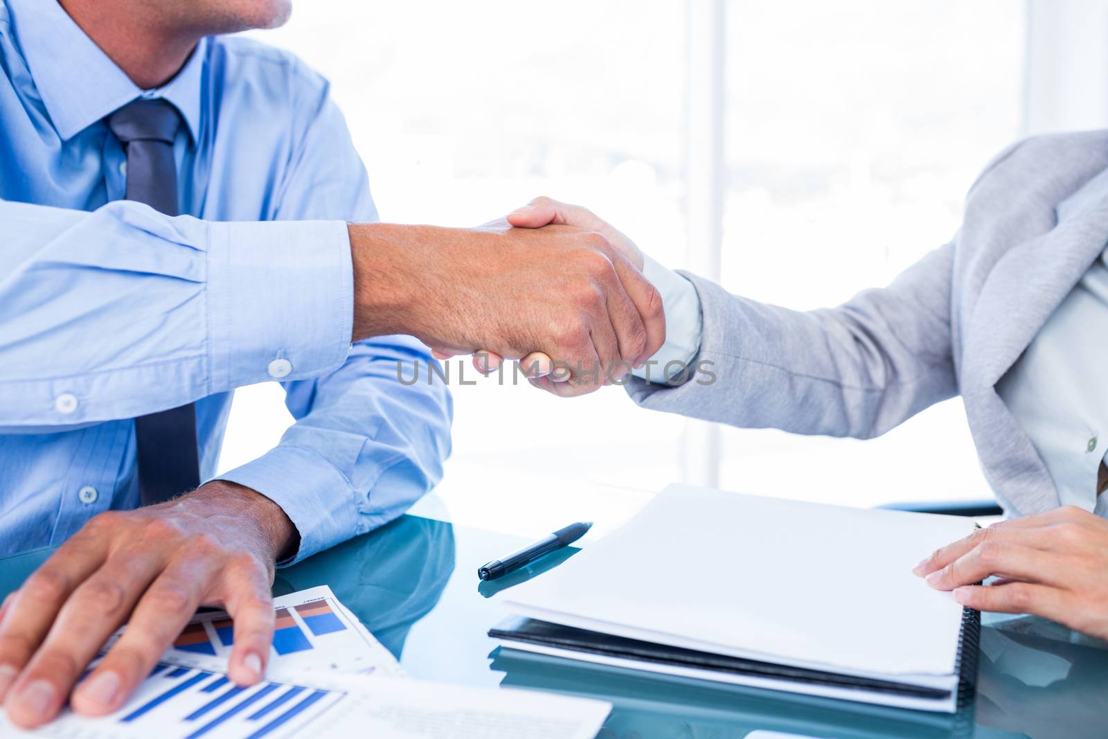 Business people shaking hands in office