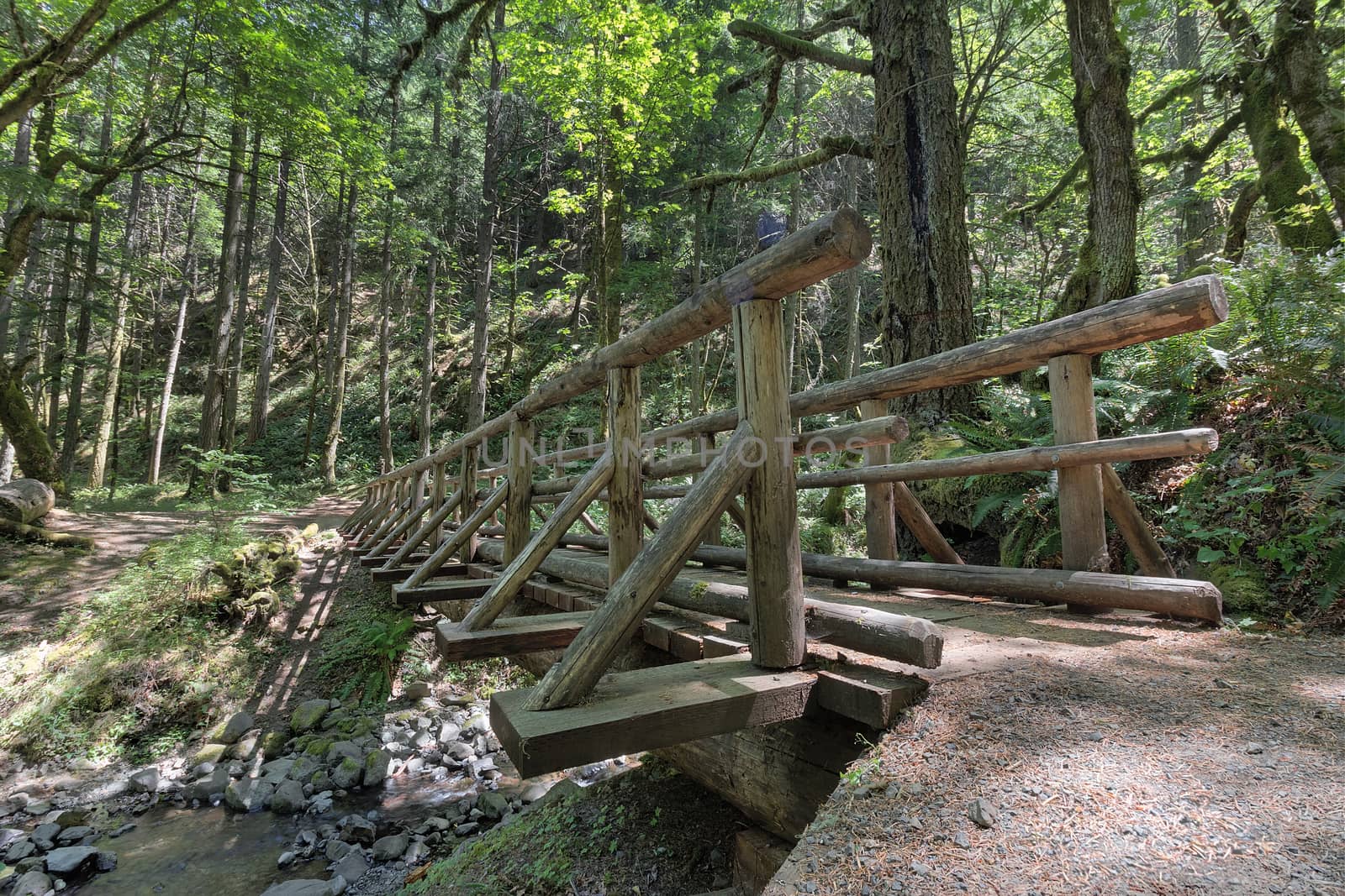 Wood Log Bridge Over Gorton Creek Hiking Trail in Columbia River Gorge Oregon