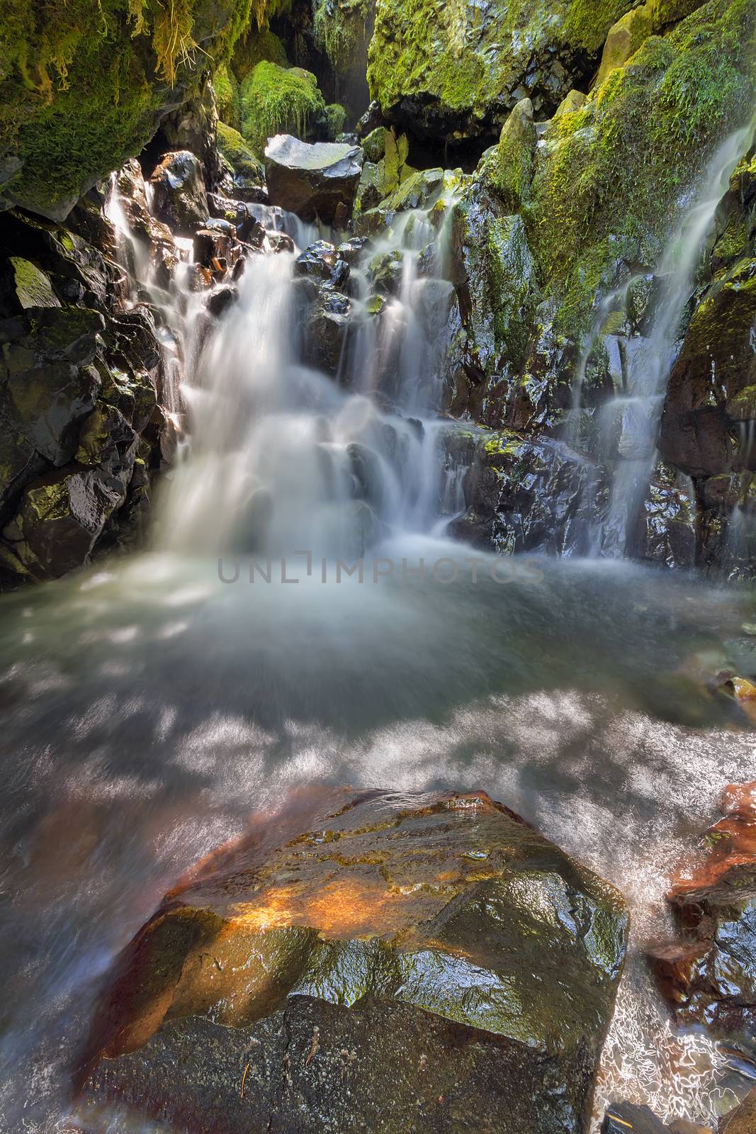 Hidden Waterfall along Gorton Creek in Columbia River Gorge National Scenic Area Oregon