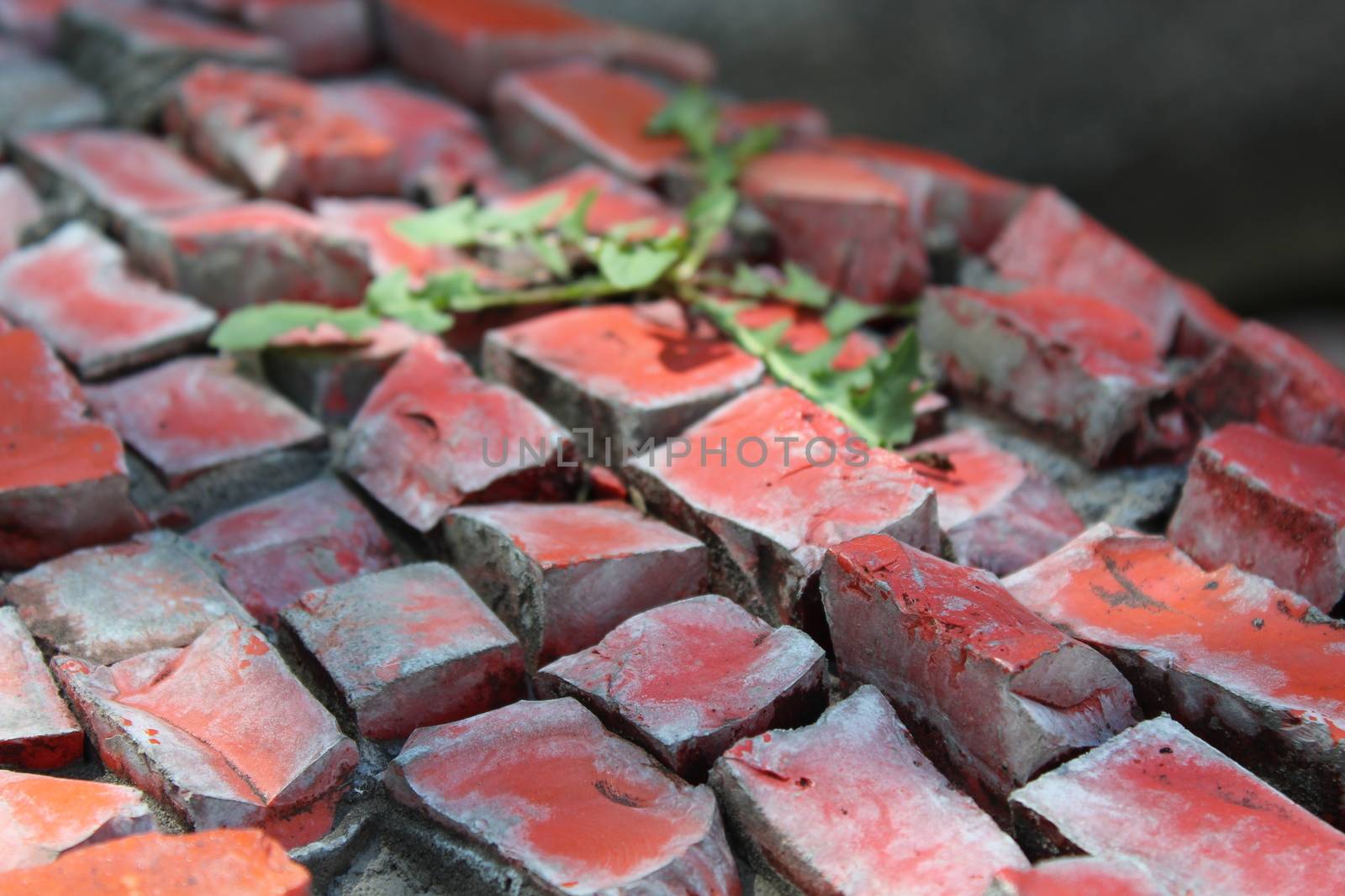 Colored bricks on old fountain.