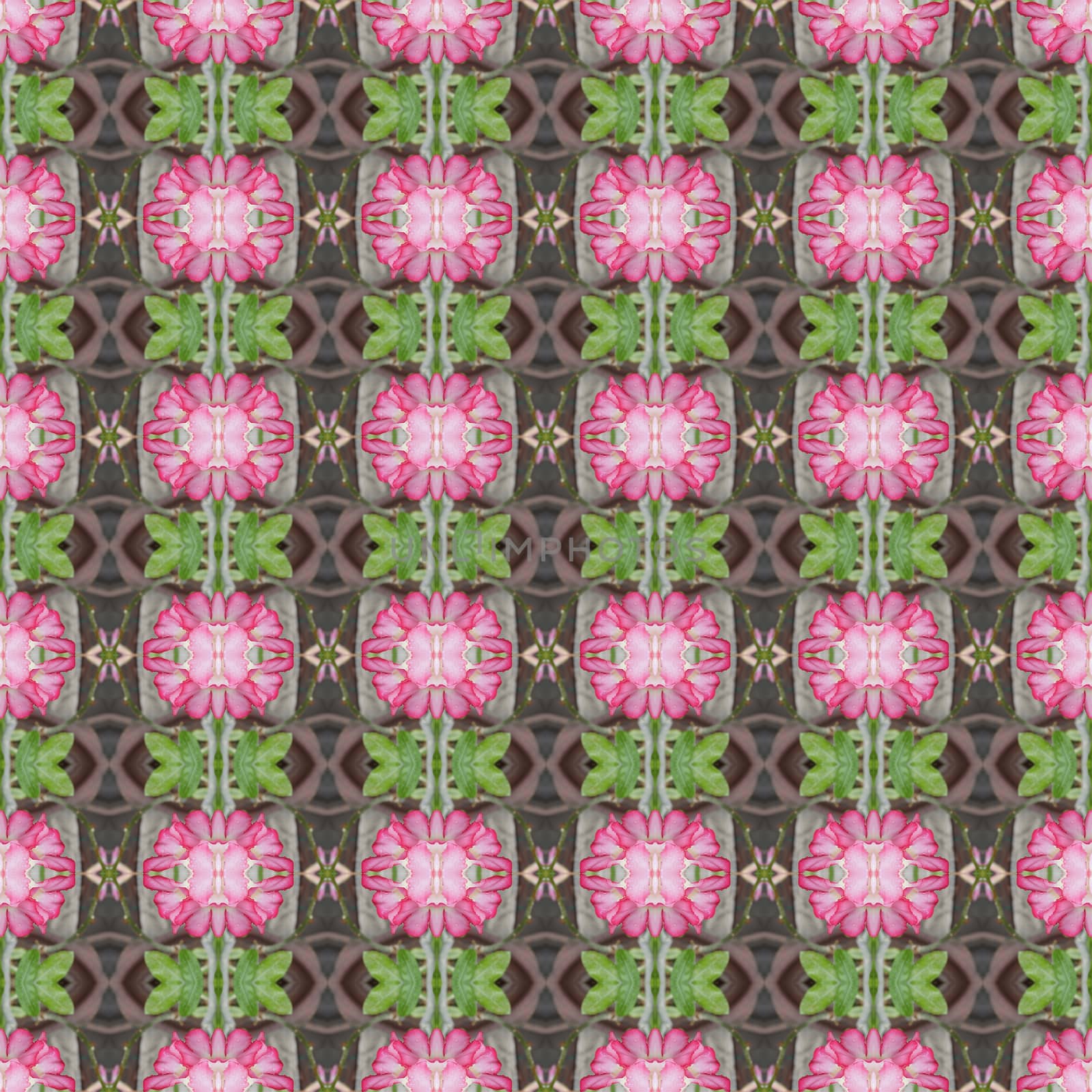 Pentagram flowers, flowers into bushes, 
petals have shades from dark to light seamless use as pattern and wallpaper.