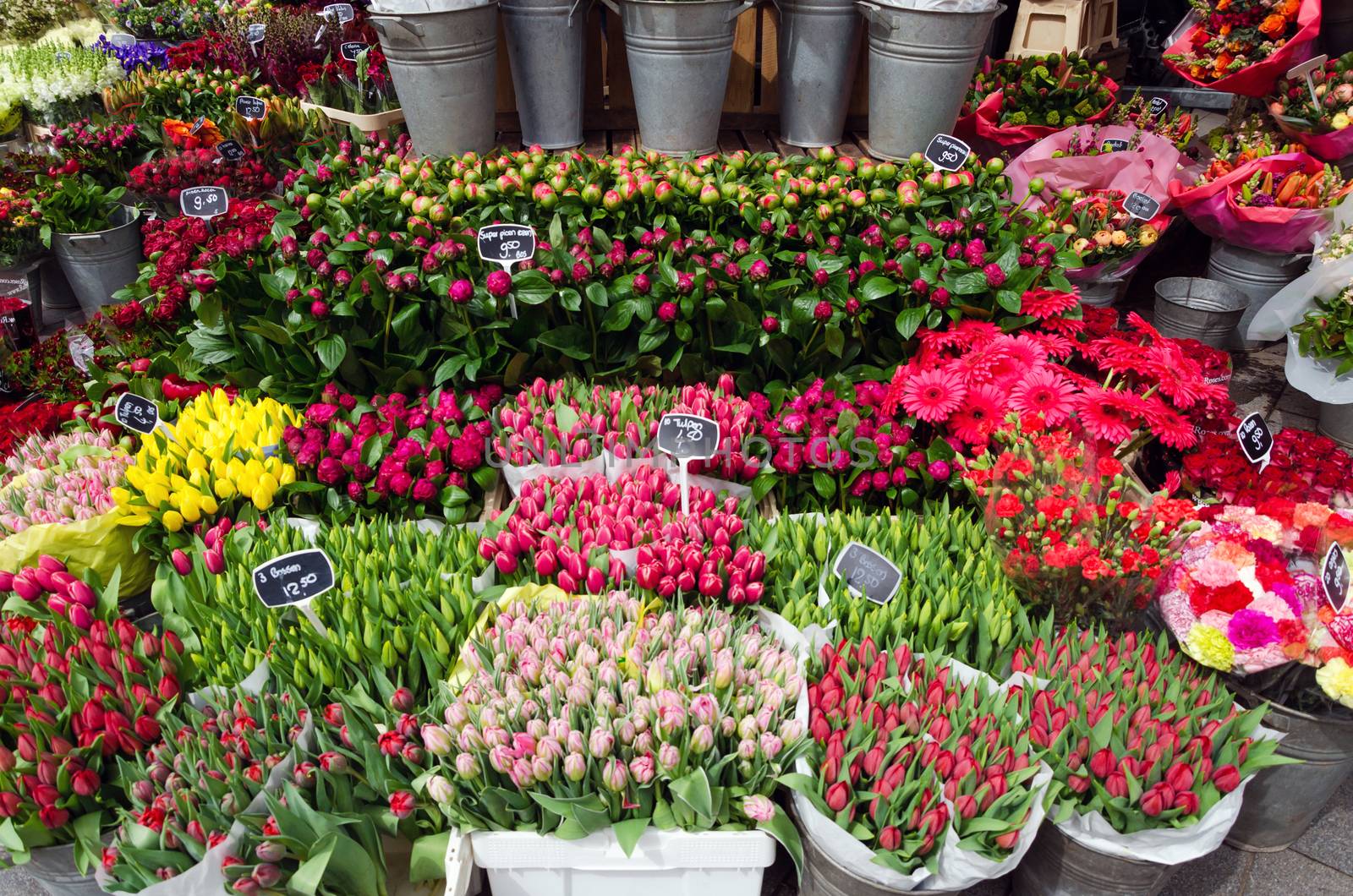 Flower shop in Rotterdam, Netherlands. 