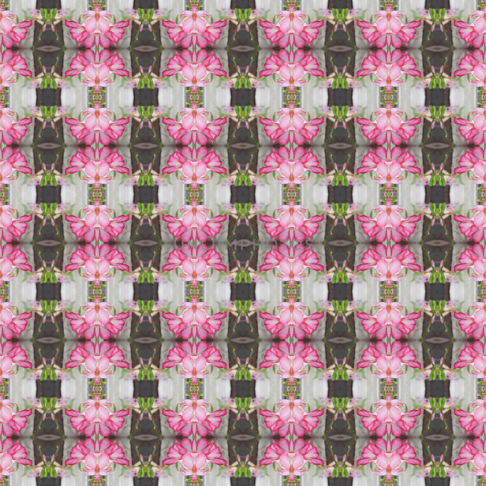 Pentagram flowers, flowers into bushes, 
petals have shades from dark to light seamless use as pattern and wallpaper.