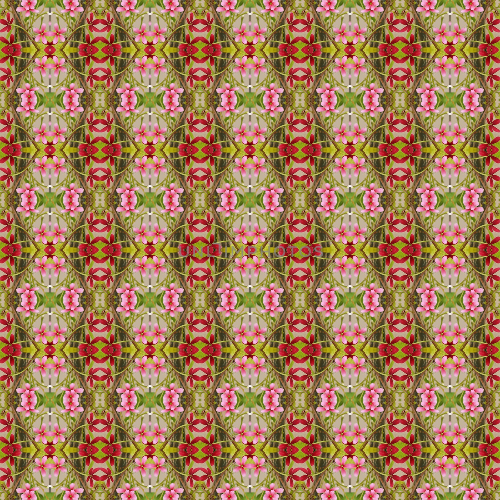 Beautiful of five flower petals bloom on the tree seamless use as pattern and wallpaper.