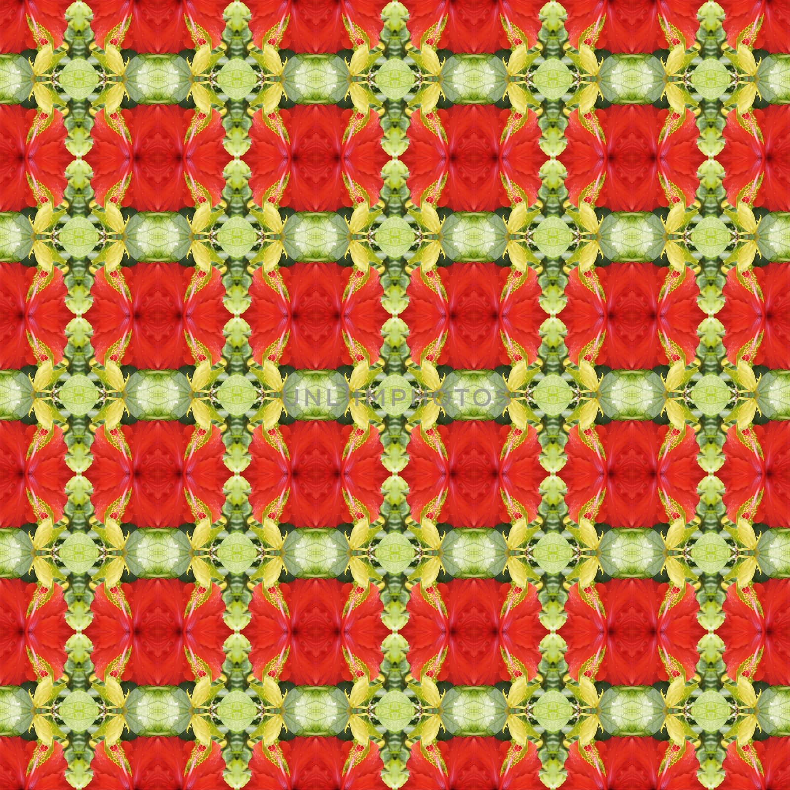 Full bloom of red hibiscus flower seamless use as pattern and wallpaper.