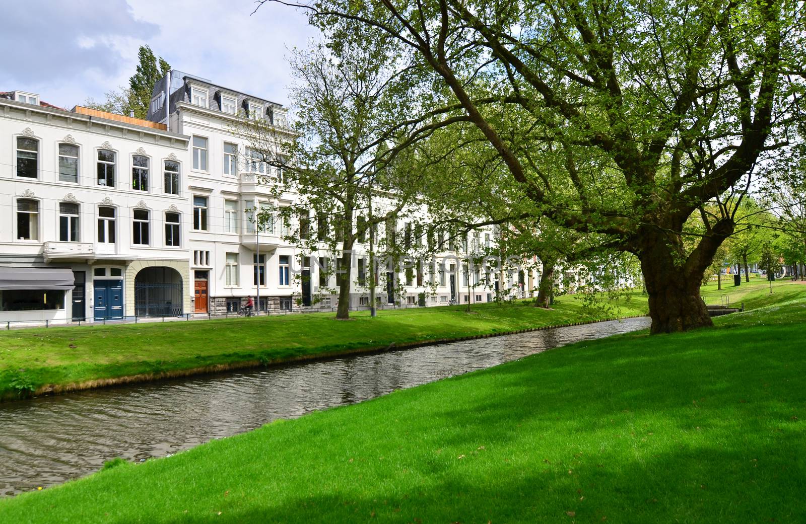 Beautiful Westersingel Street near Museumpark in Rotterdam by siraanamwong