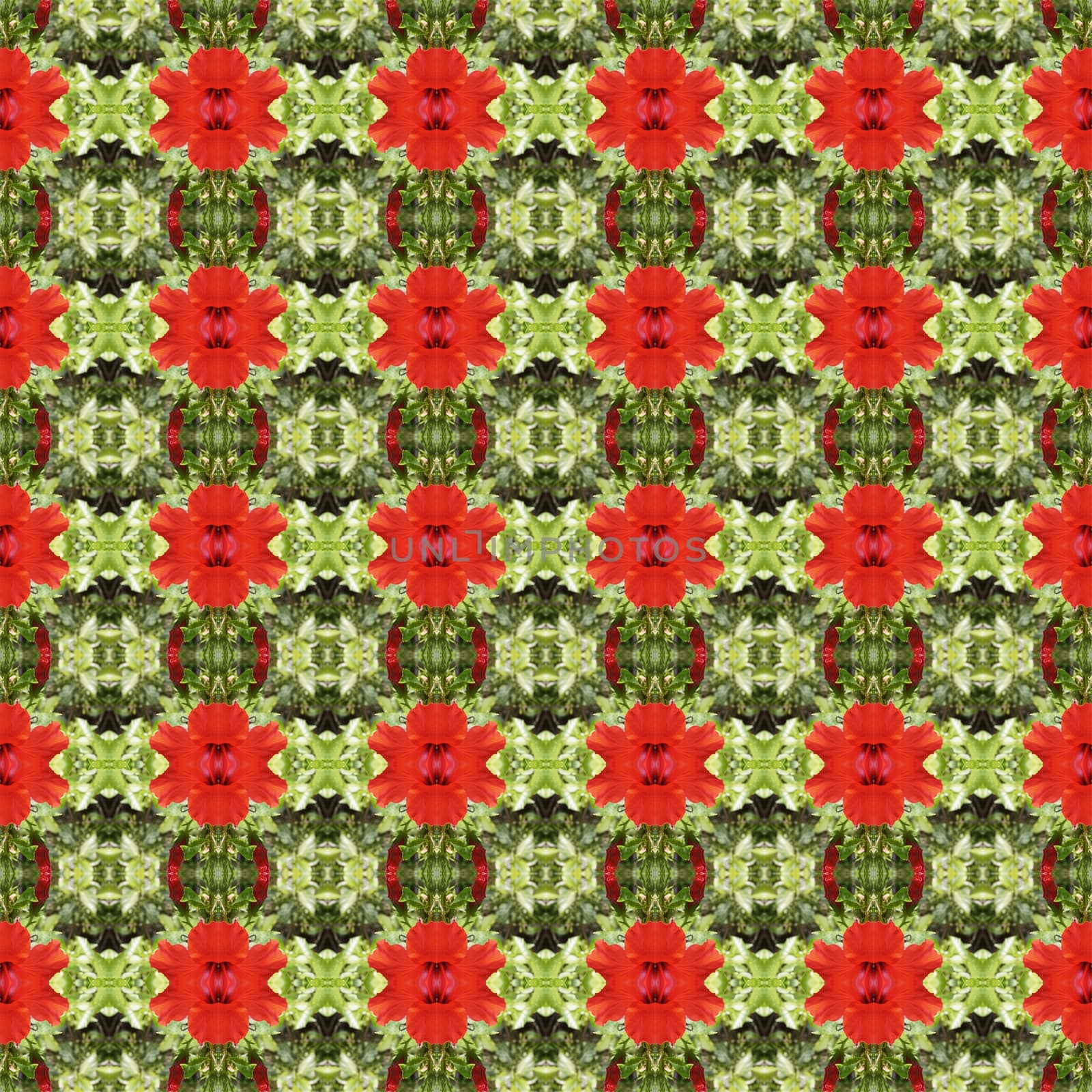 Full bloom of red hibiscus flower seamless use as pattern and wallpaper