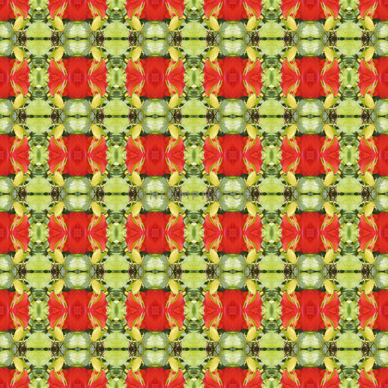 Full bloom of red hibiscus flower seamless use as pattern and wallpaper.
