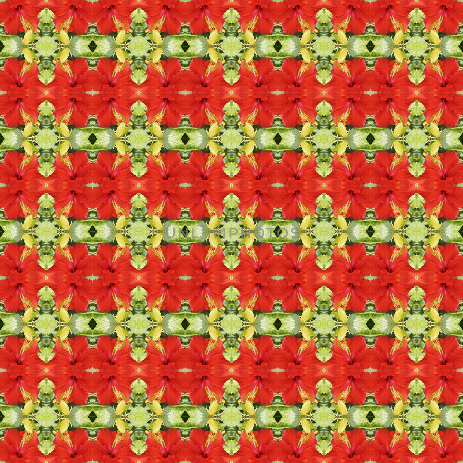 Full bloom of red hibiscus flower seamless use as pattern and wallpaper.