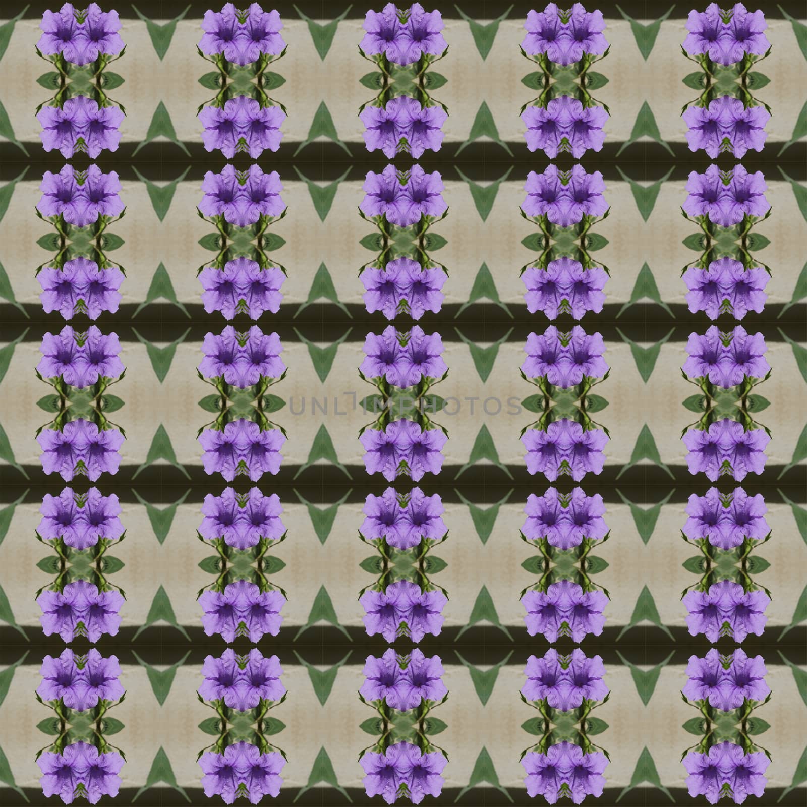 Ruellia tuberosa Linn  bright purple in full bloom seamless use as pattern and wallpaper.