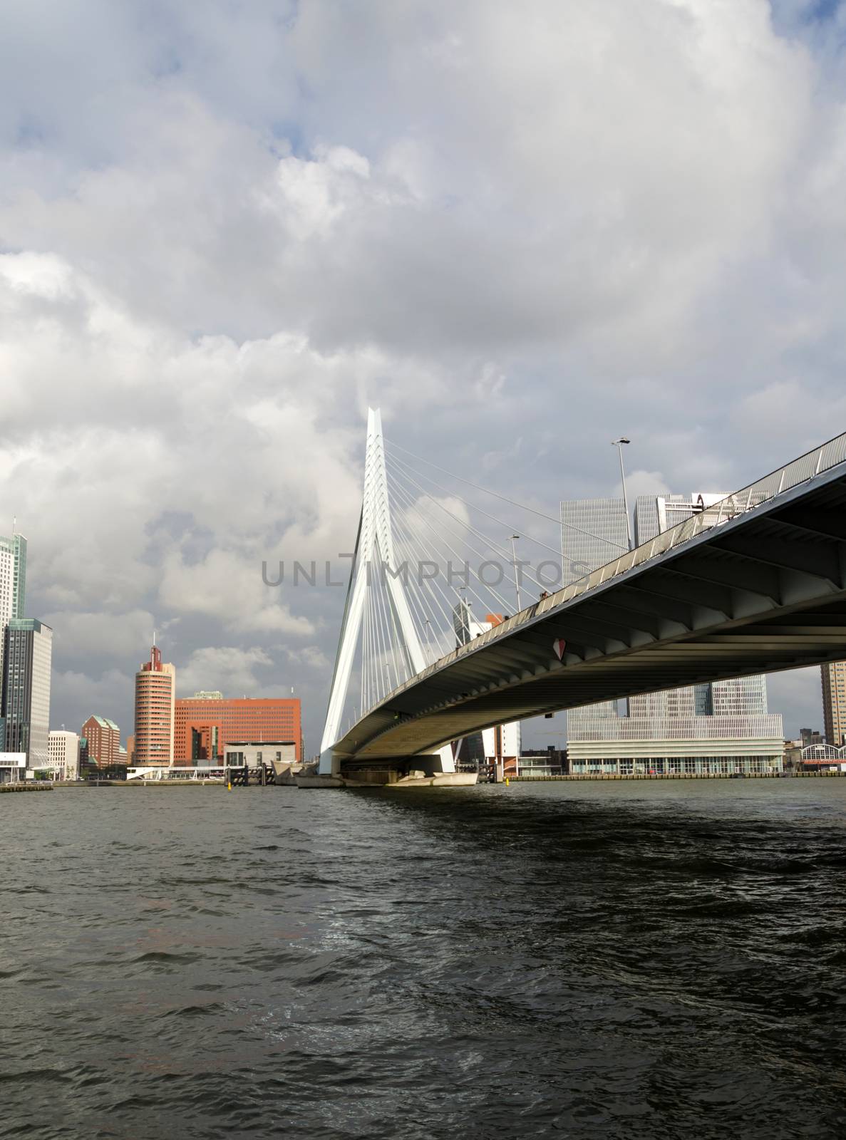 Erasmus Bridge in Rotterdam by siraanamwong