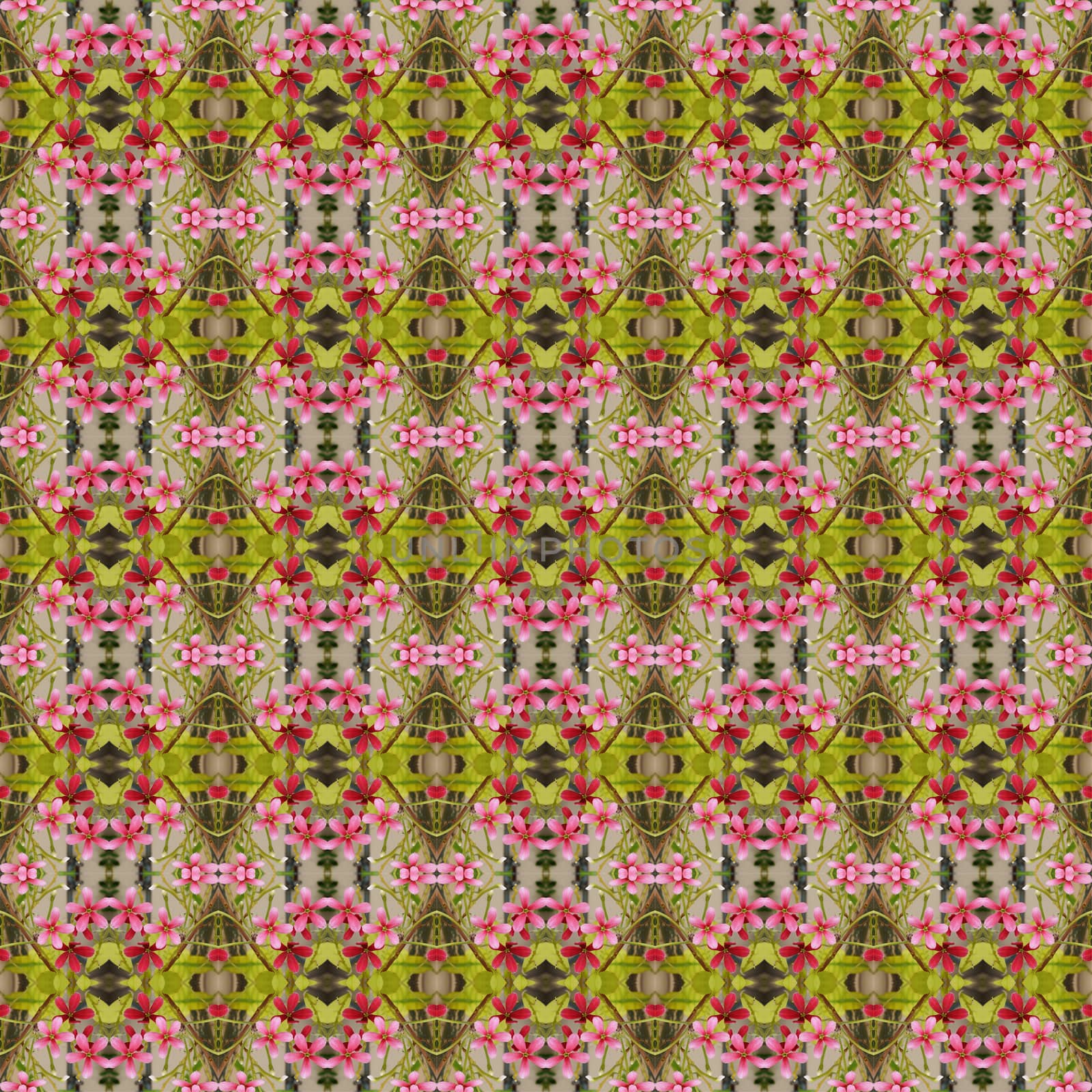 Beautiful of five flower petals bloom on the tree seamless use as pattern and wallpaper.