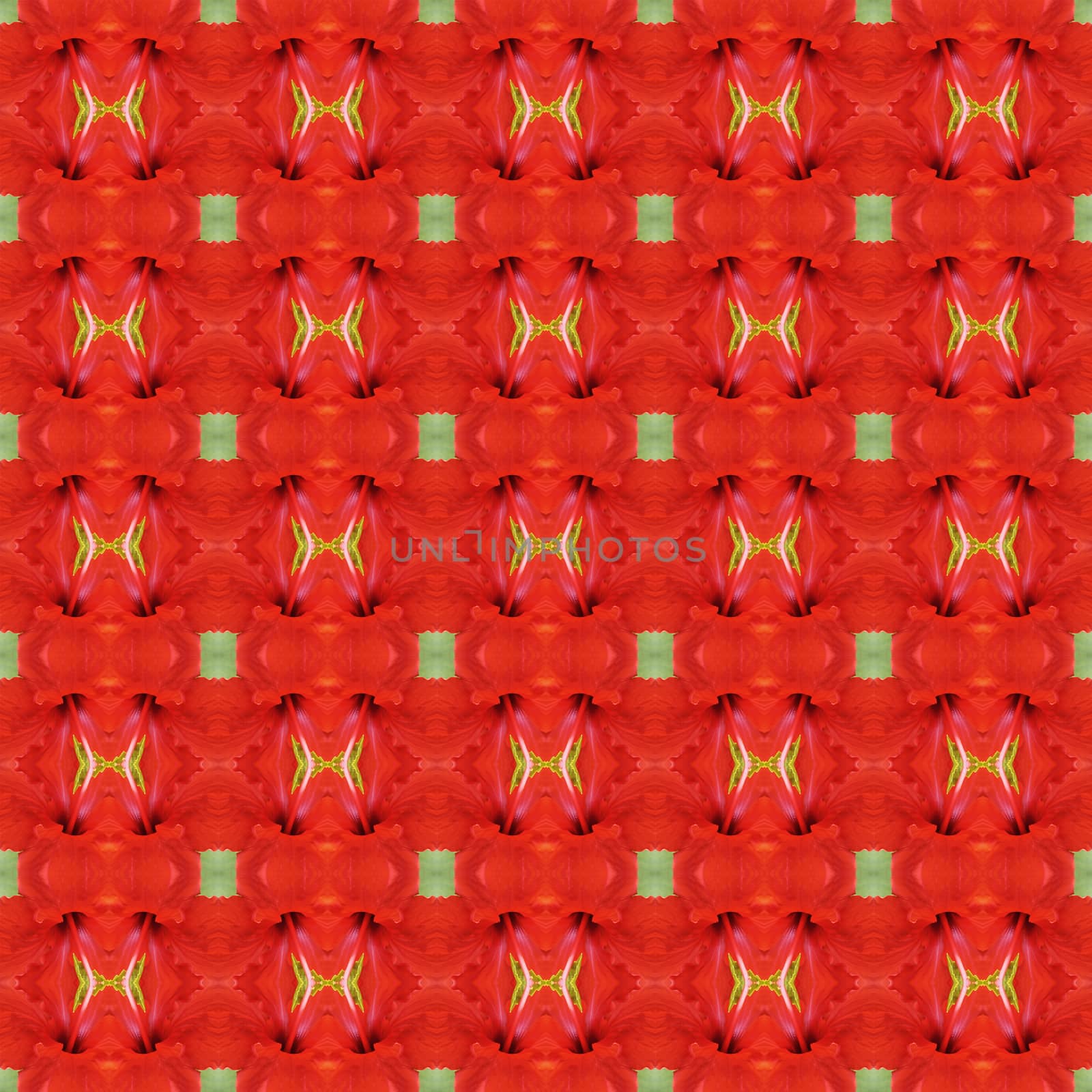 Full bloom of red hibiscus flower seamless use as pattern and wallpaper.