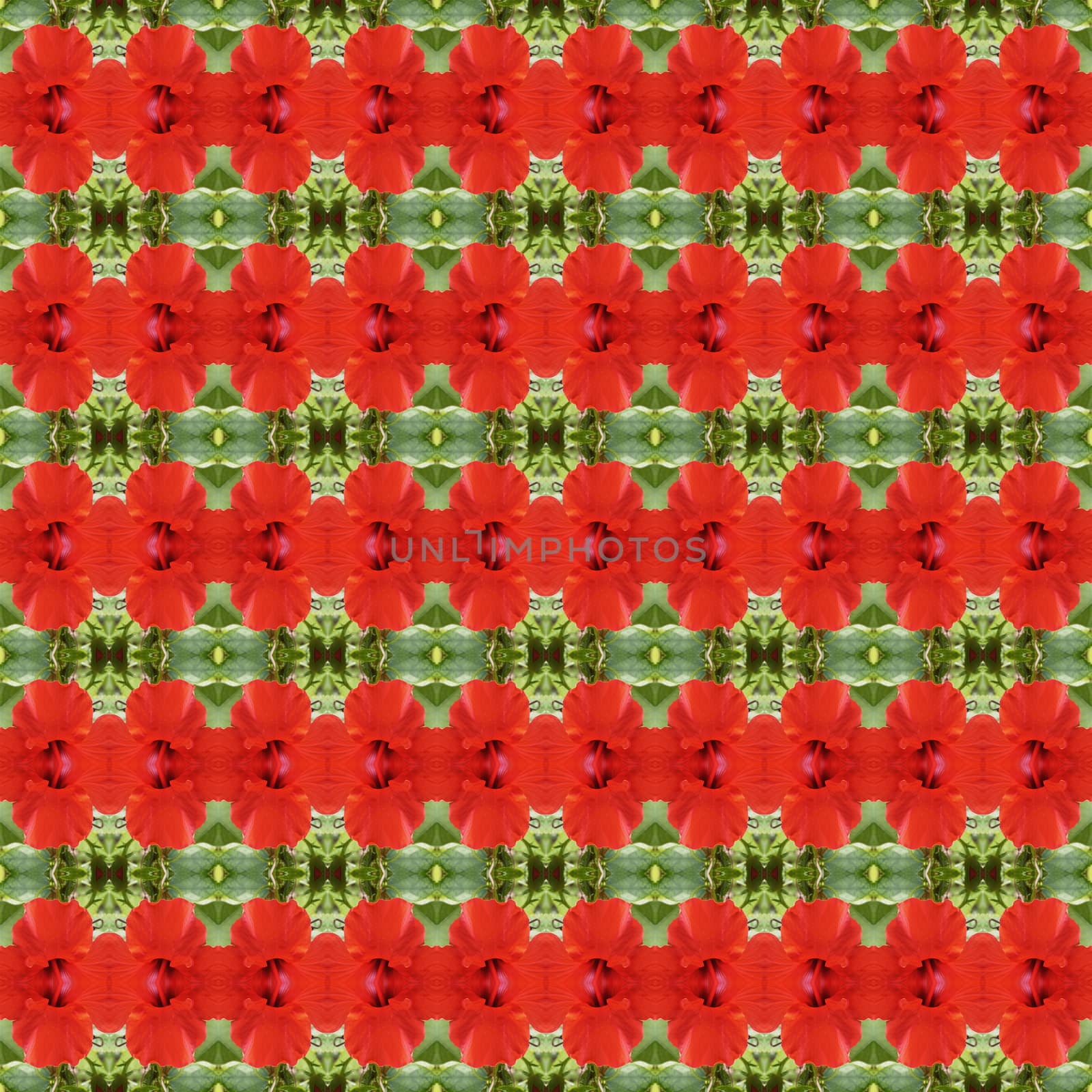 Full bloom of red hibiscus flower seamless use as pattern and wallpaper.