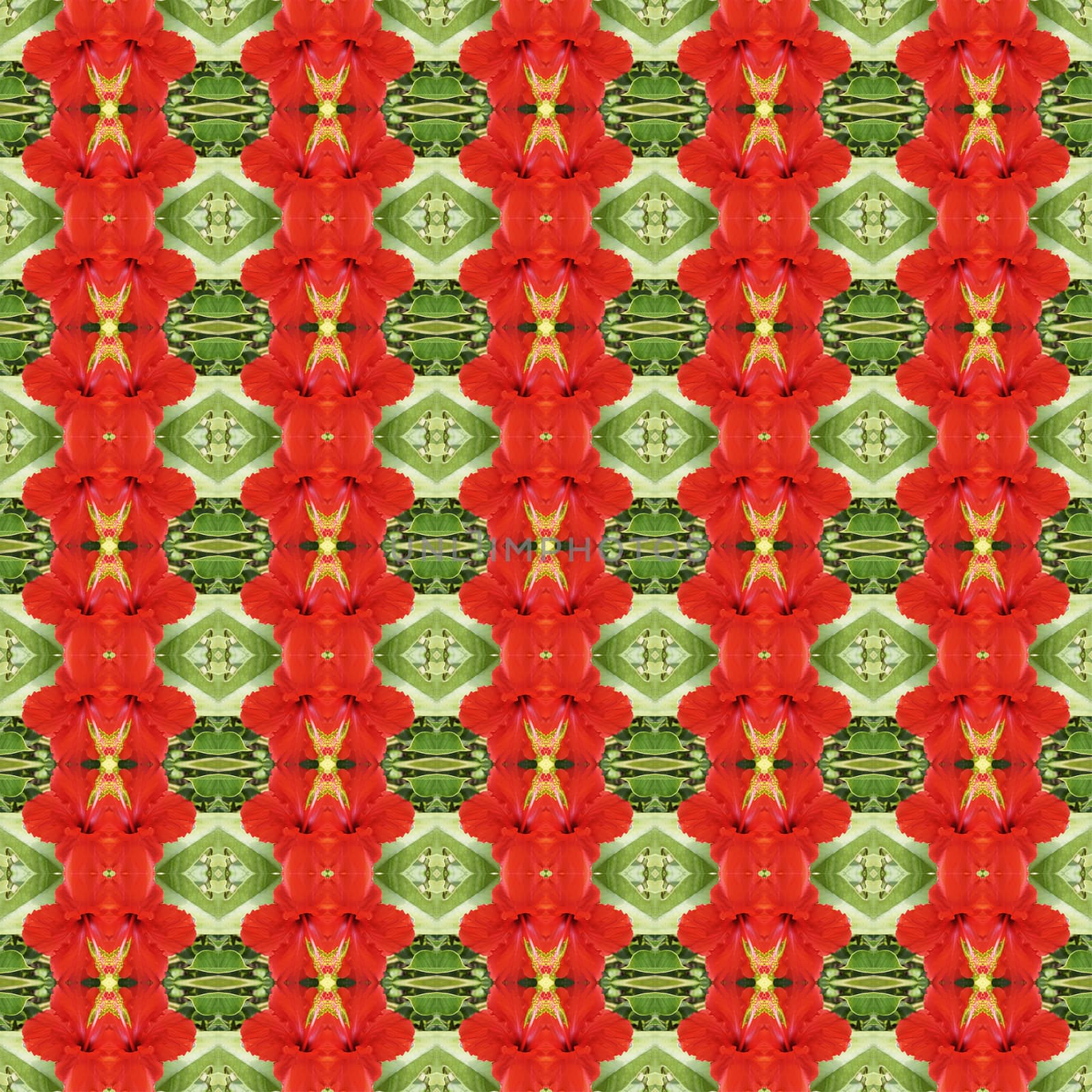 Full bloom of red hibiscus flower seamless use as pattern and wallpaper.