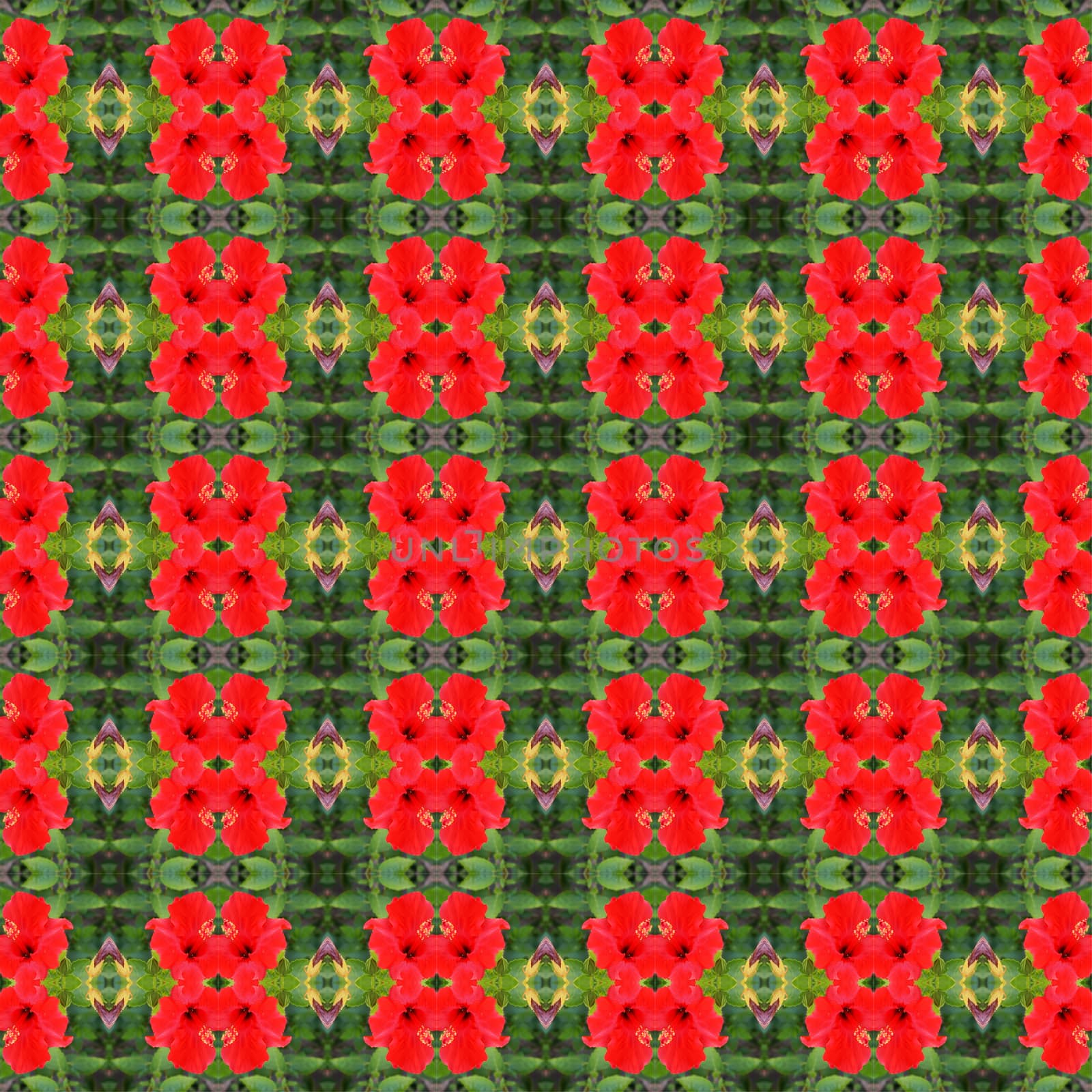 Red hibiscus flower in full bloom seamless use as pattern and wallpaper.