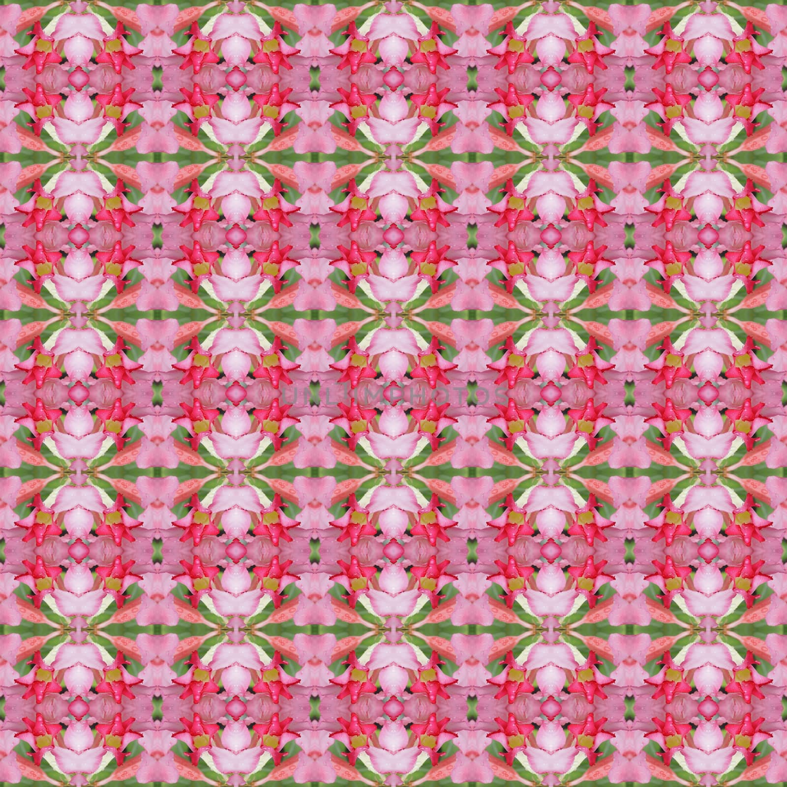 Pentagram flowers, flowers into bushes, 
petals have shades from dark to light seamless use as pattern and wallpaper.