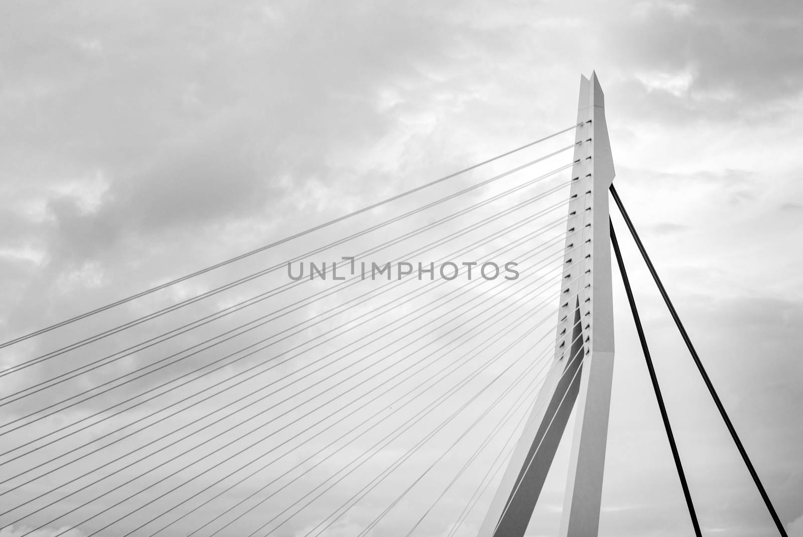 Close up of Erasmus Bridge in Rotterdam, Netherlands (Black and White)