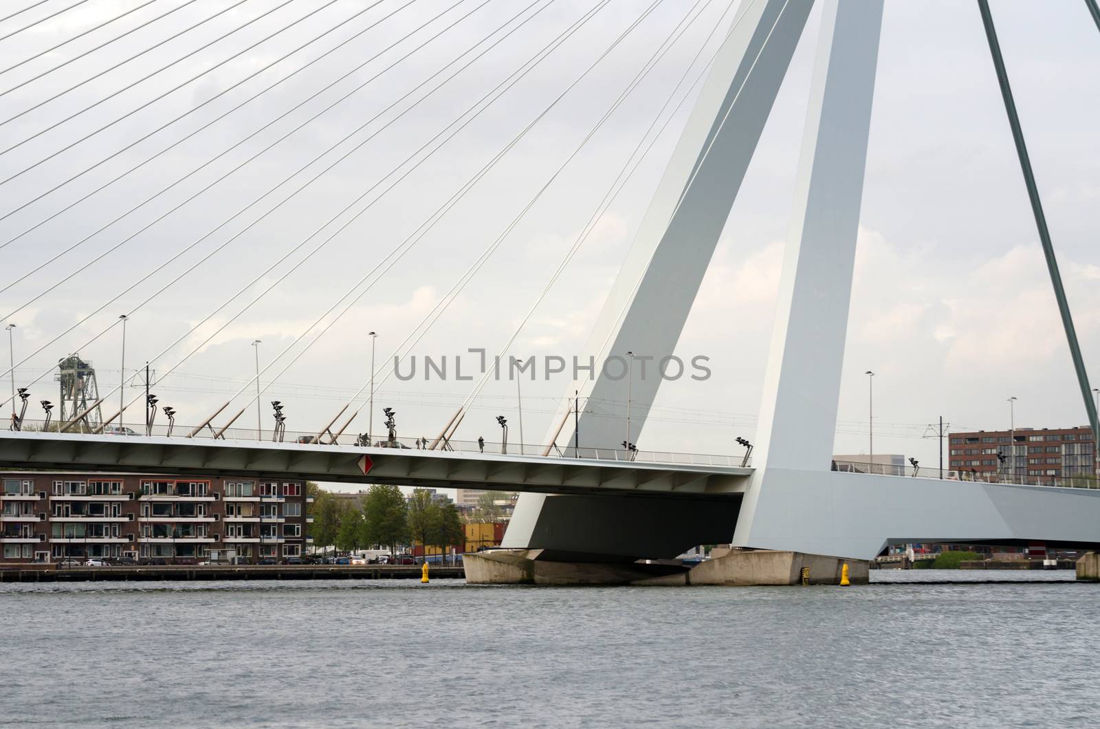 Erasmus Bridge by siraanamwong