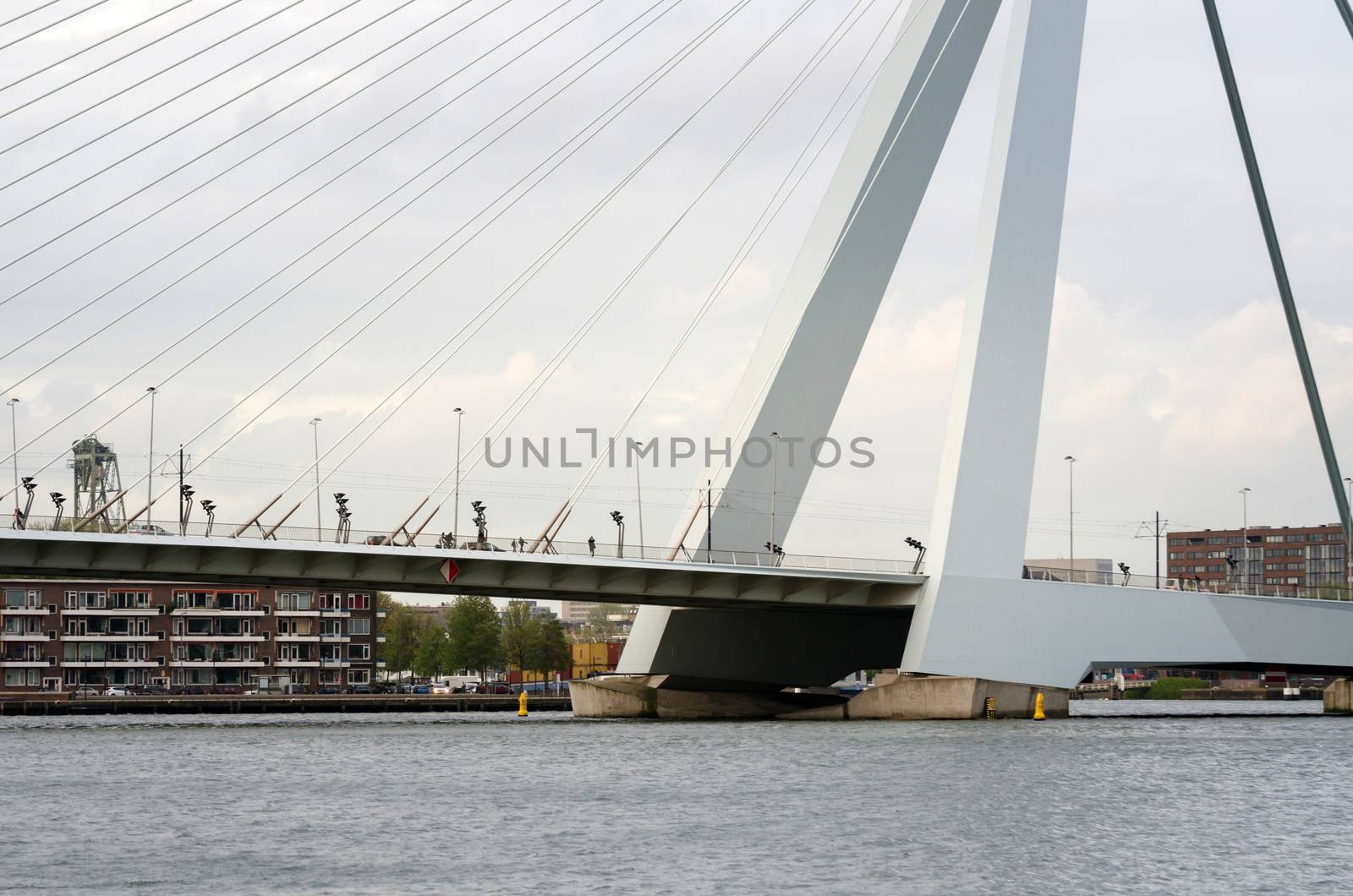 Erasmus Bridge in Rotterdam, The Netherlands